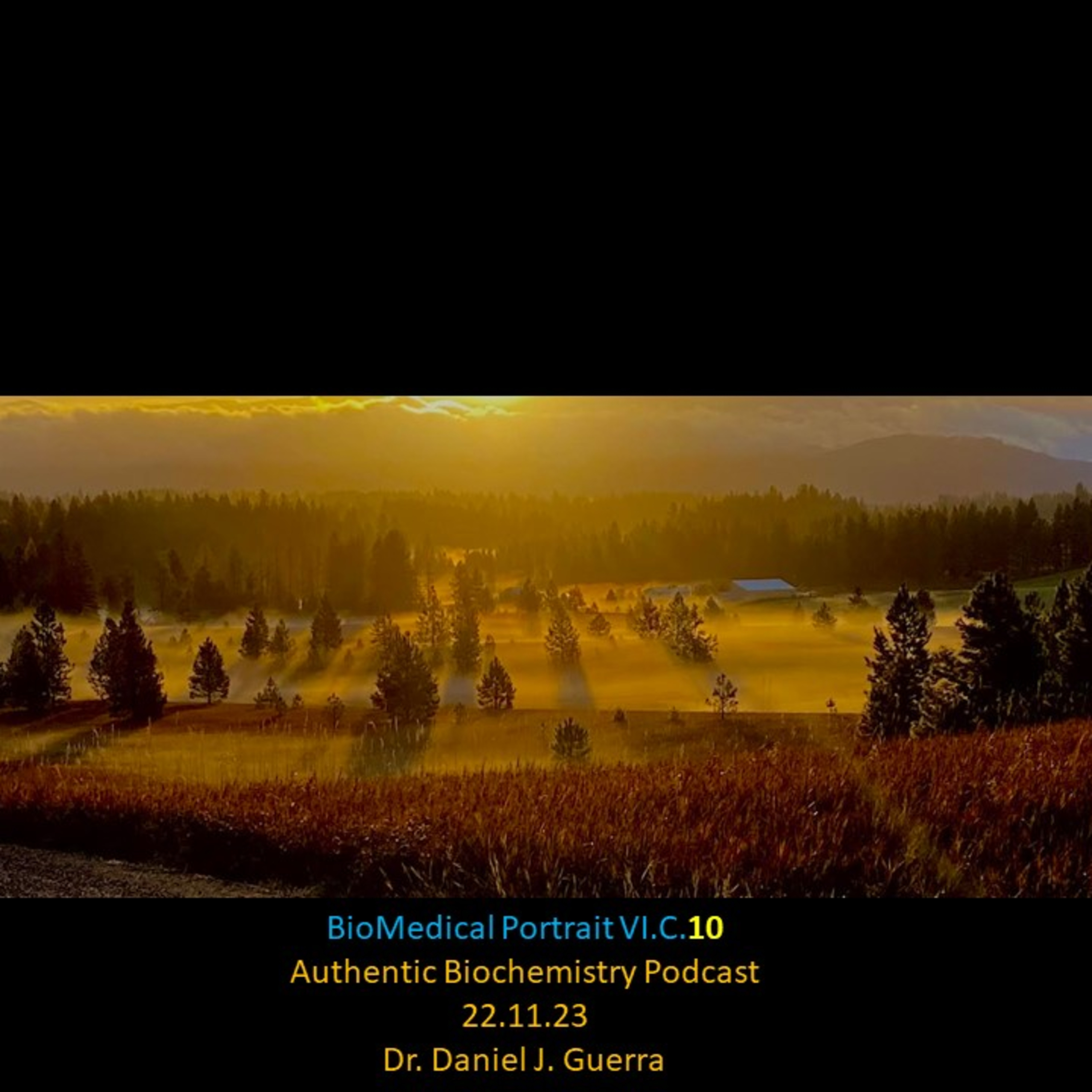 BioMedical Portrait VI.c.10.Alterations in the cytotoxic immune response can be dissociated from inflammation via intermediary metabolic mutation.DJGPhD.22.11.23. Authentic Biochemistry Pootdcast.