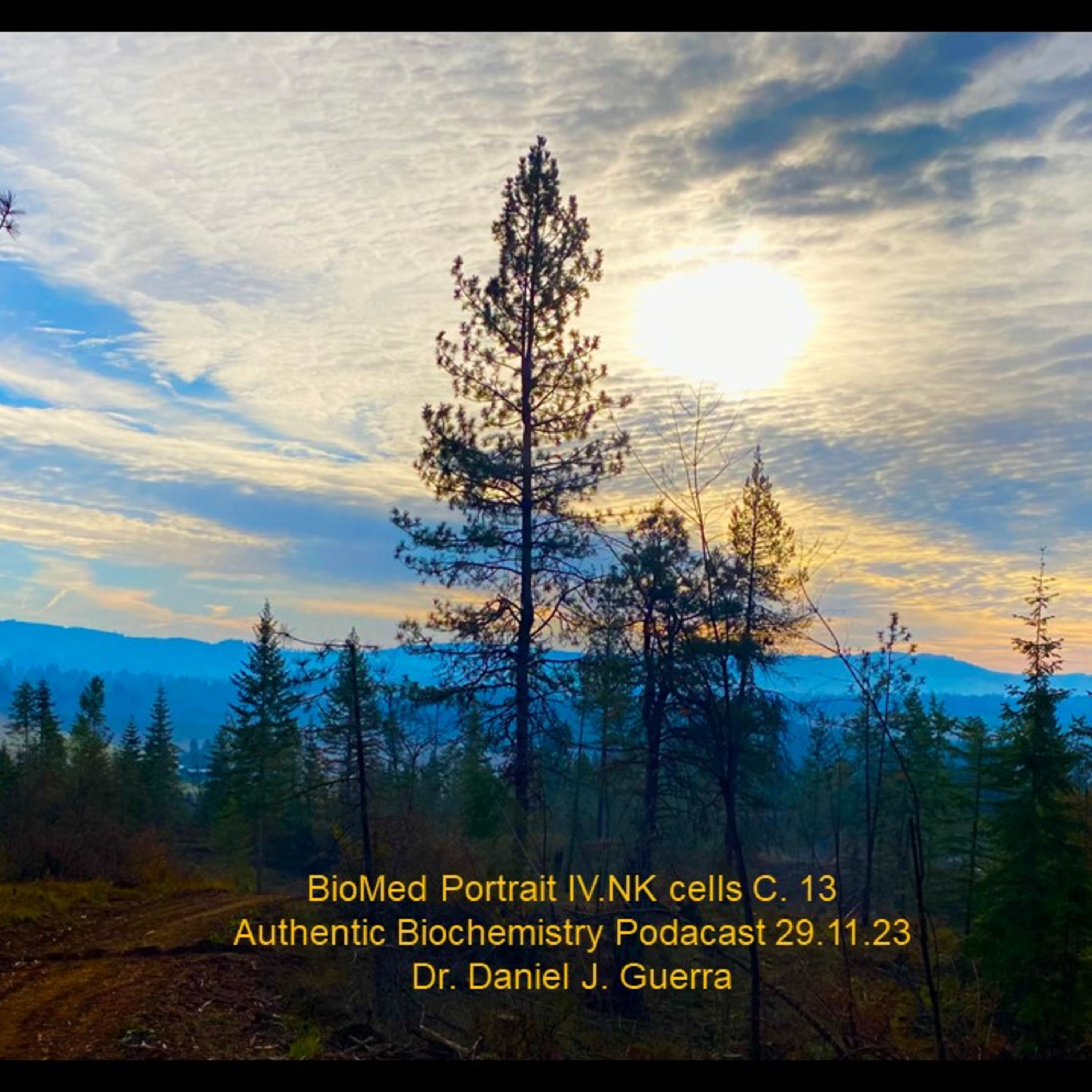 BioMedical PortraitVI.c.13. Senescense and the aging of cells within systems apprehends the event ontologies of the stress phenomena-immune surveillance axis.DJGPhD.29.11.23. Authentic Biochemistry.