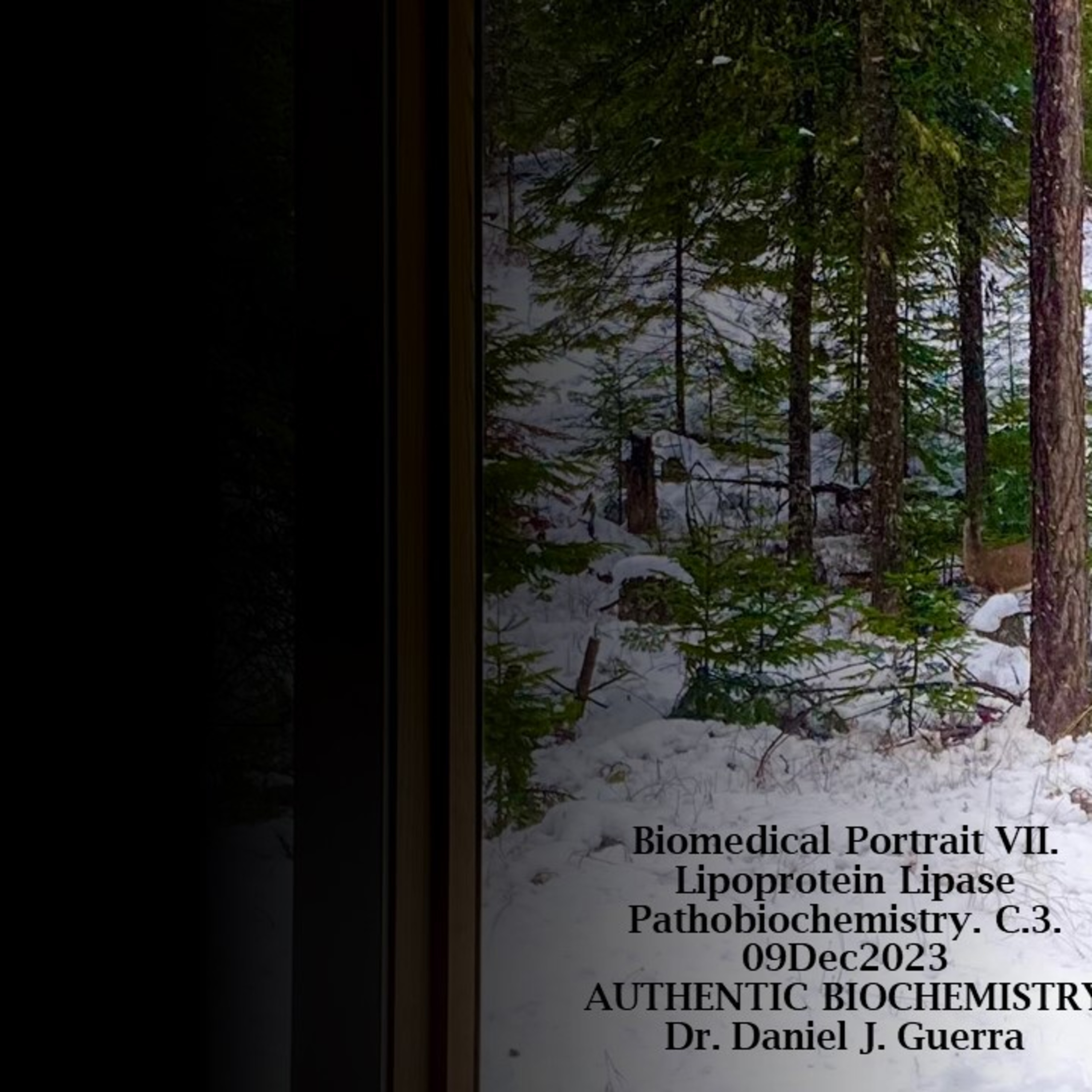 BioMedical Portarit VII. c.3. Introduction to chylomicron apoB48 and the angiopoietin-like LPL inhibitor contributions to circulating TAG. DJGPhD.9DEC23. authentic Biochemistry