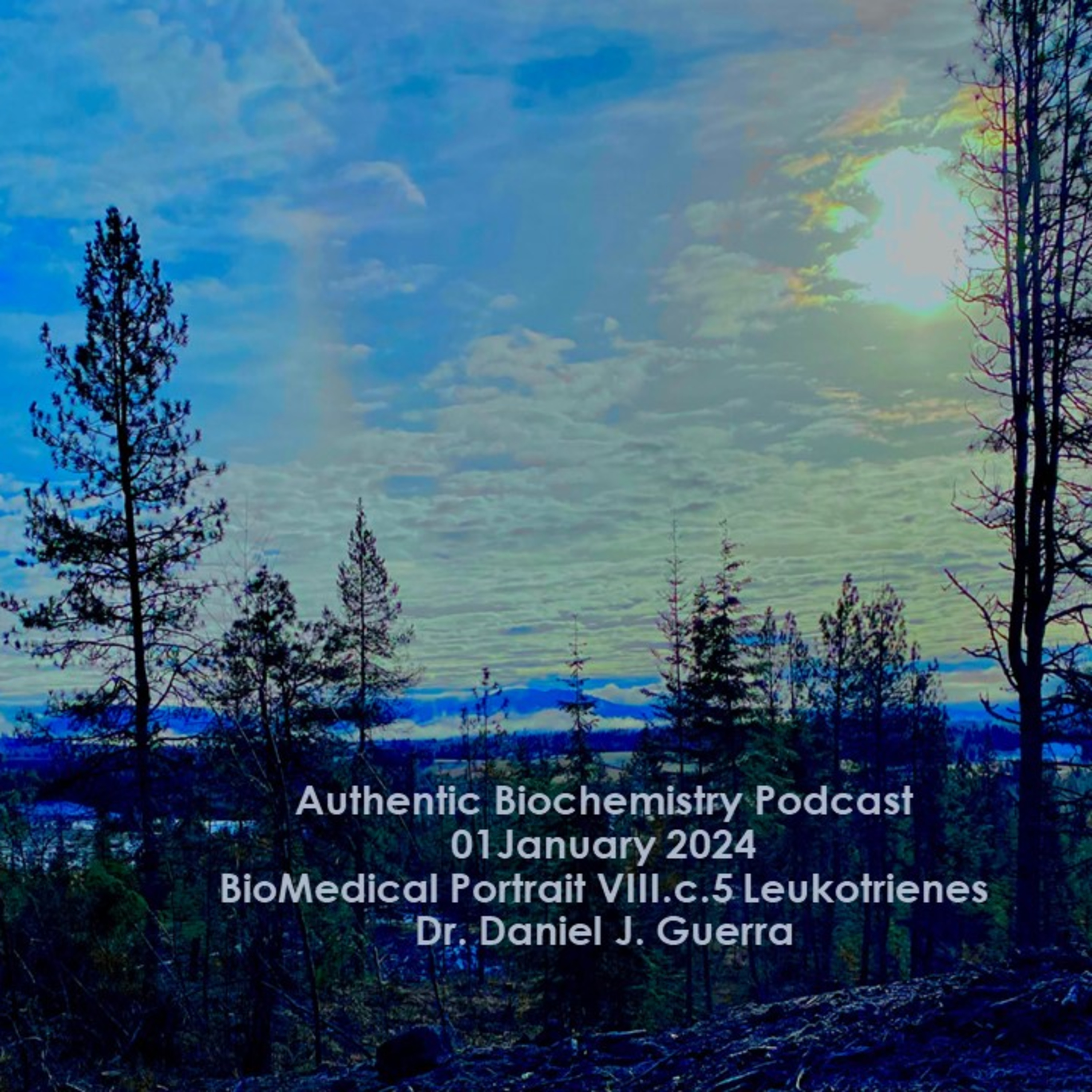 BioMedical Portrait VIII.c.5 Leukotrienes. Lipoxygenase isoform mediated control over resident tissue macrophage speciation.Dr Daniel J. Guerra. 01Jan2024. Authentic Biochemistry Podcast
