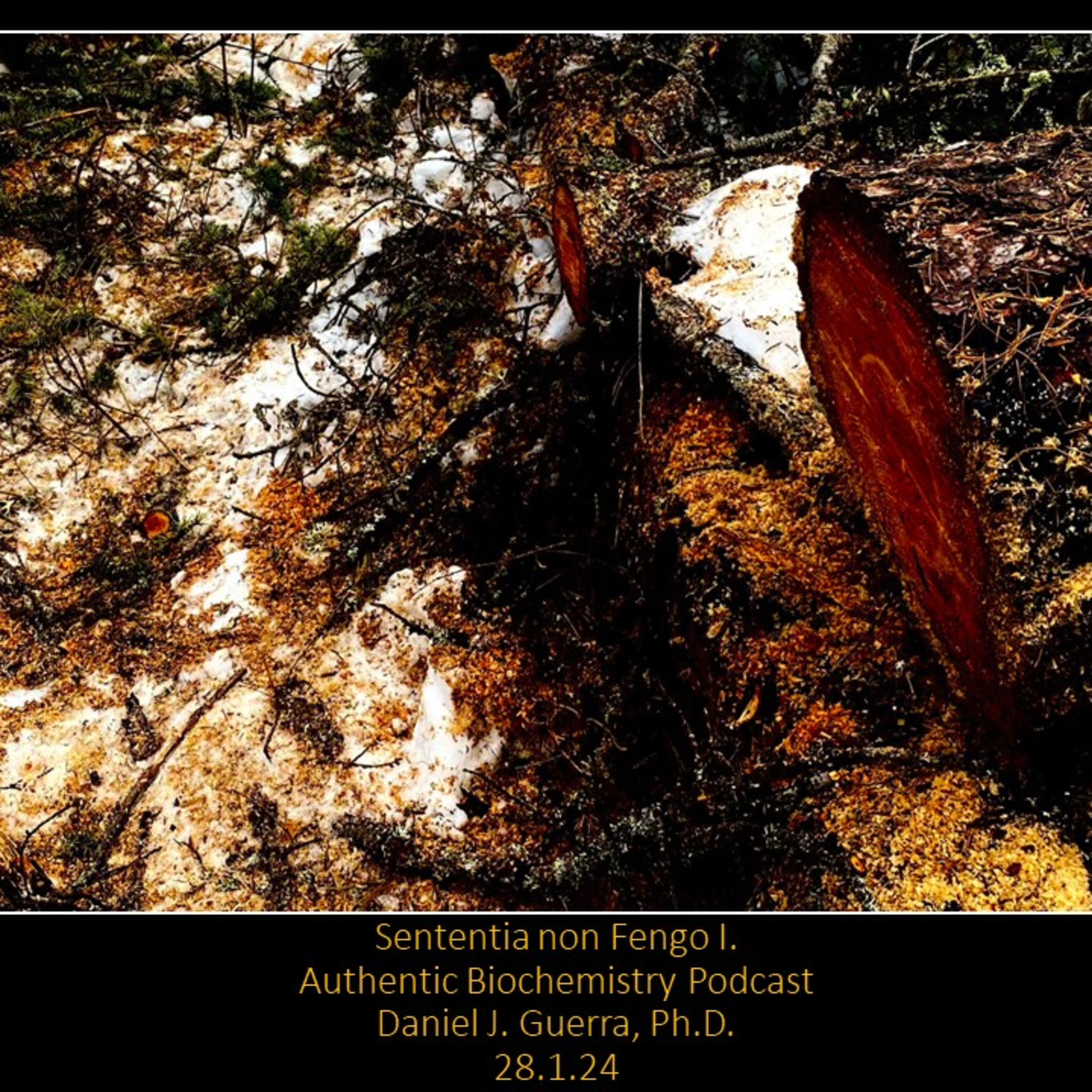Authentic Biochemistry
