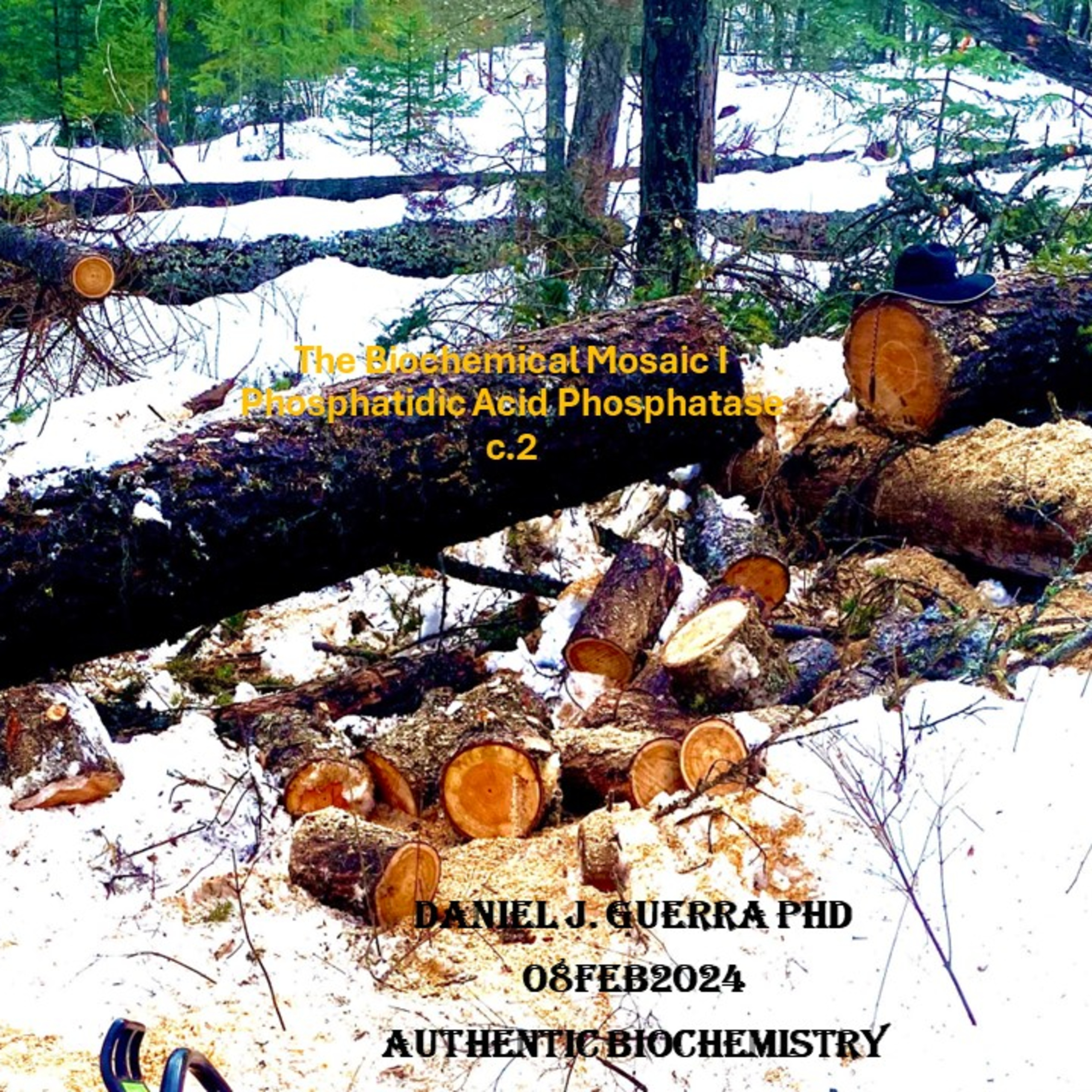 Biochemical Mosaic Event Ontologies I. Phosphatidic Acid Phosphatase. Autophagy commitment is linked to mTORC1 v. AMPK oppostional kinase networks maintaining proteostasis and lipid homeostasis.DJGPhD