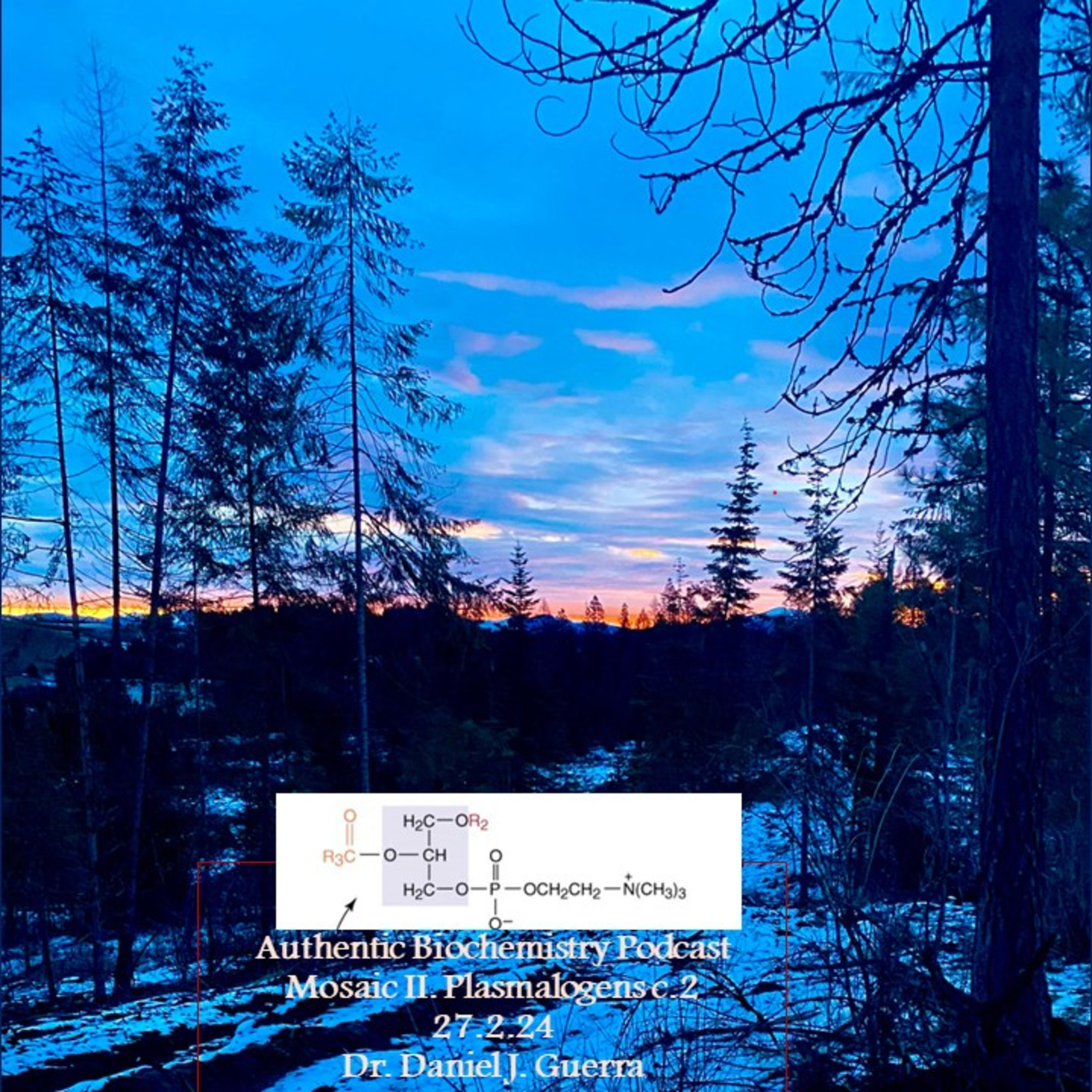 Biochemical Mosaic II. C.2. Plasmalogen and PAF biosynthesis in relation to glycerol lipid and intermediary subcellular metabolism.DJGPhD.27.2.24