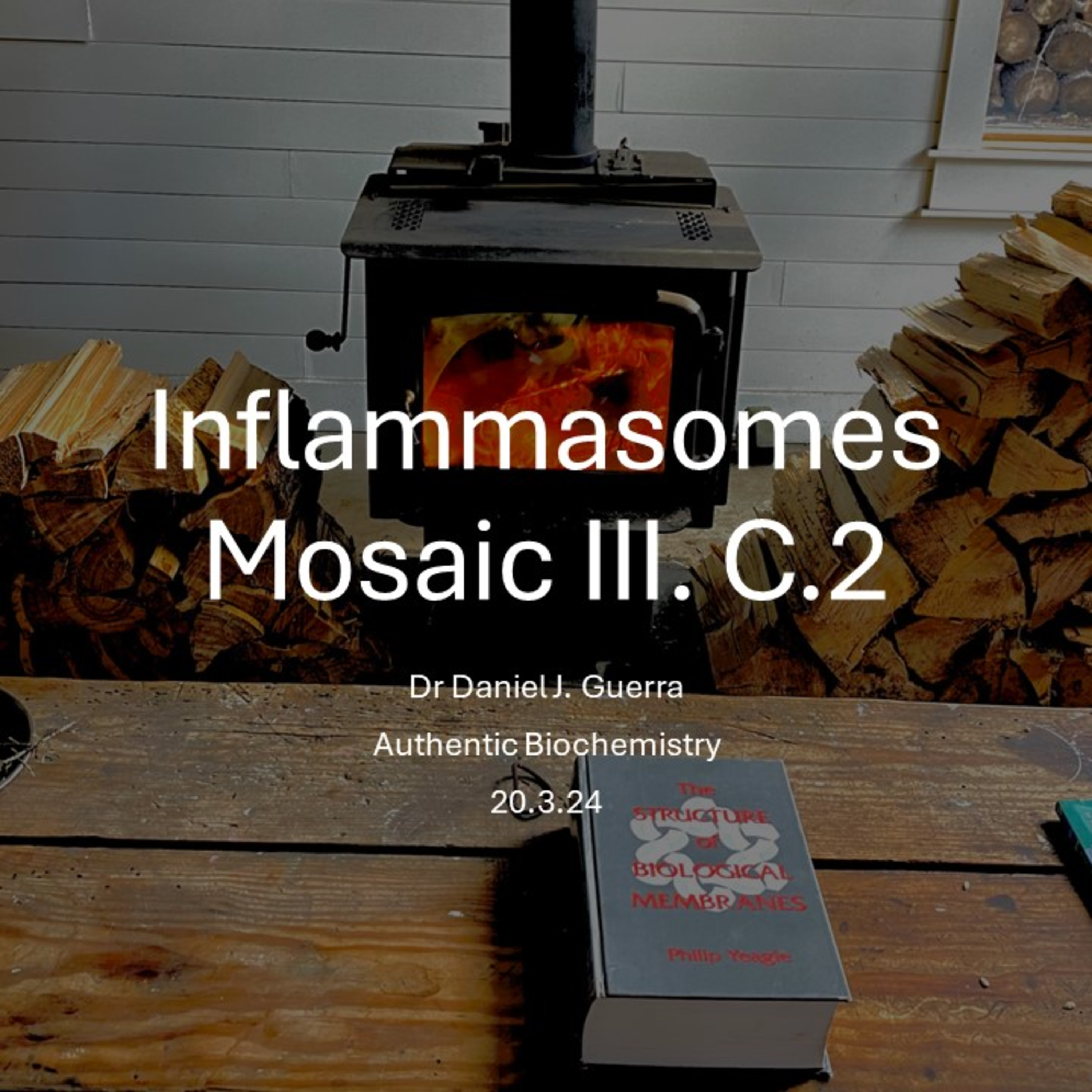 Biochemical Mosaic III. C.2 A Non-canonical autophagic inhibition of NLRP3 inflammasome mediated inflammation in UVB-treated human keratinocytes.DJGPhD. 20.3.24.