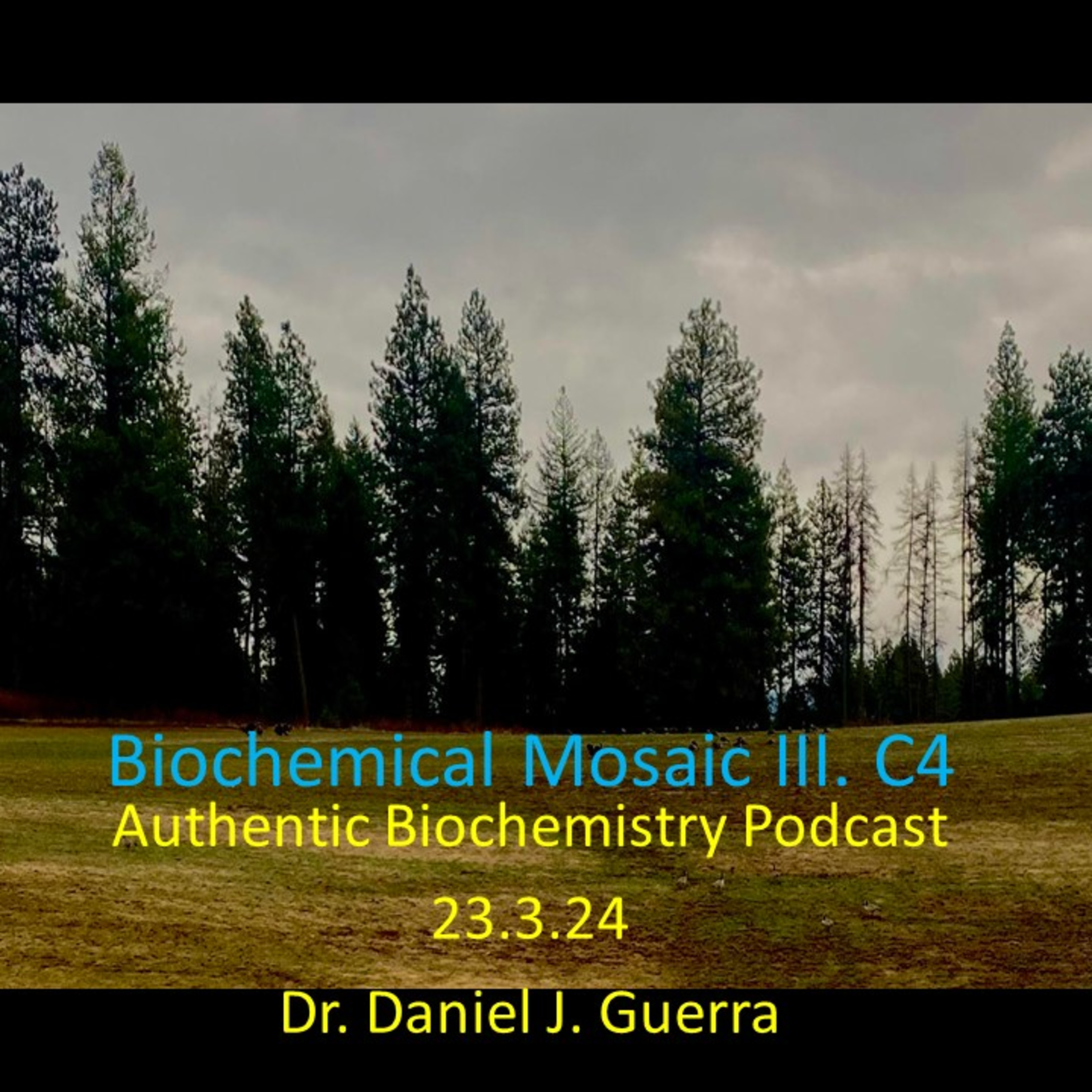 Biochemical MosaicIII. C.4. My oppositional dialectic and episteme- metaphysical discourse on method+ Gal3 as proinflammatory lectin may not uniformly correlate with pathobiochemical events. DJGPhD.