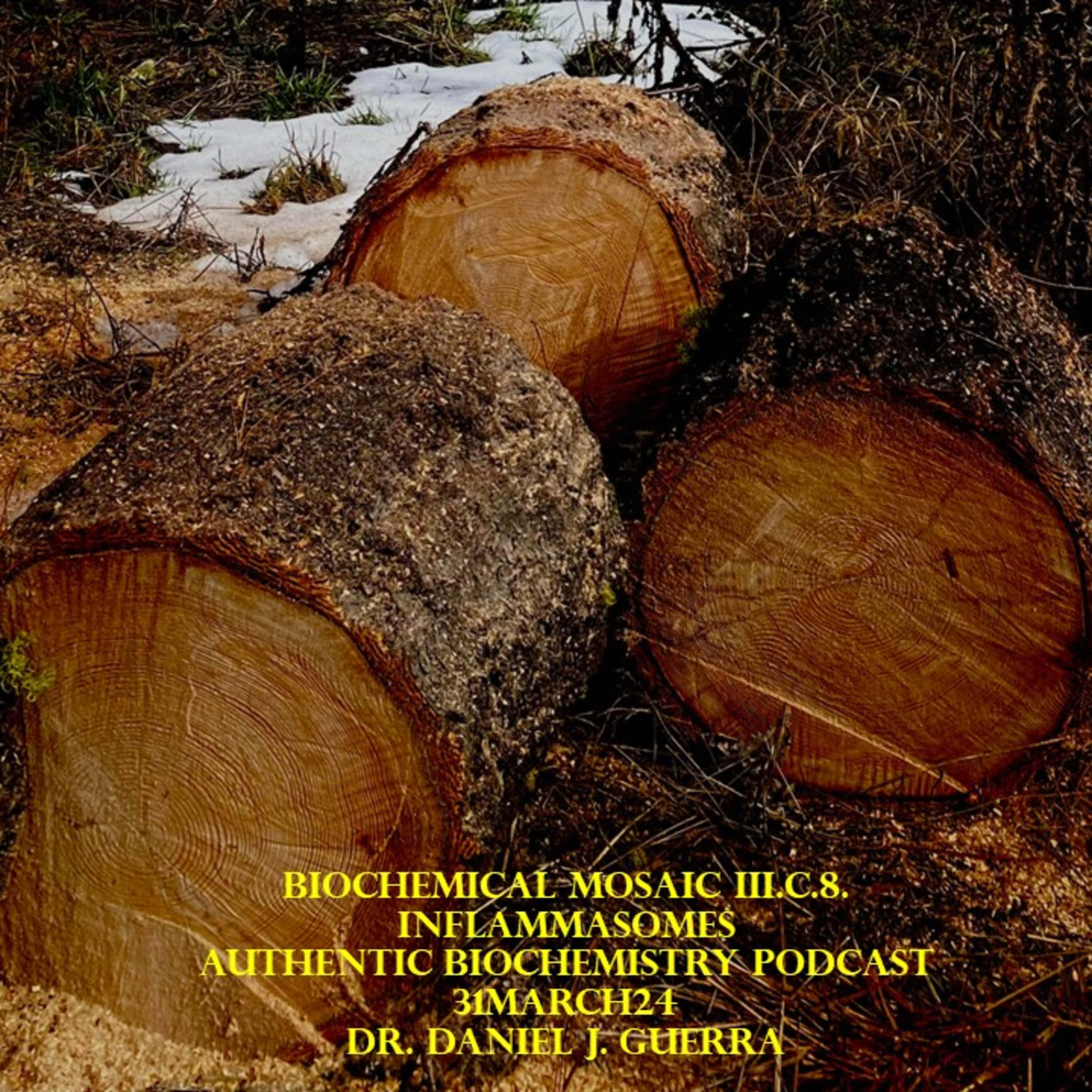 Biochemical Mosaic III.c.8. S. aureus clearance via dual pyroptosis and necroptosis salientsand the control over the hyperinflammatory axis of clinical disease. DJGPhD.31.3.24