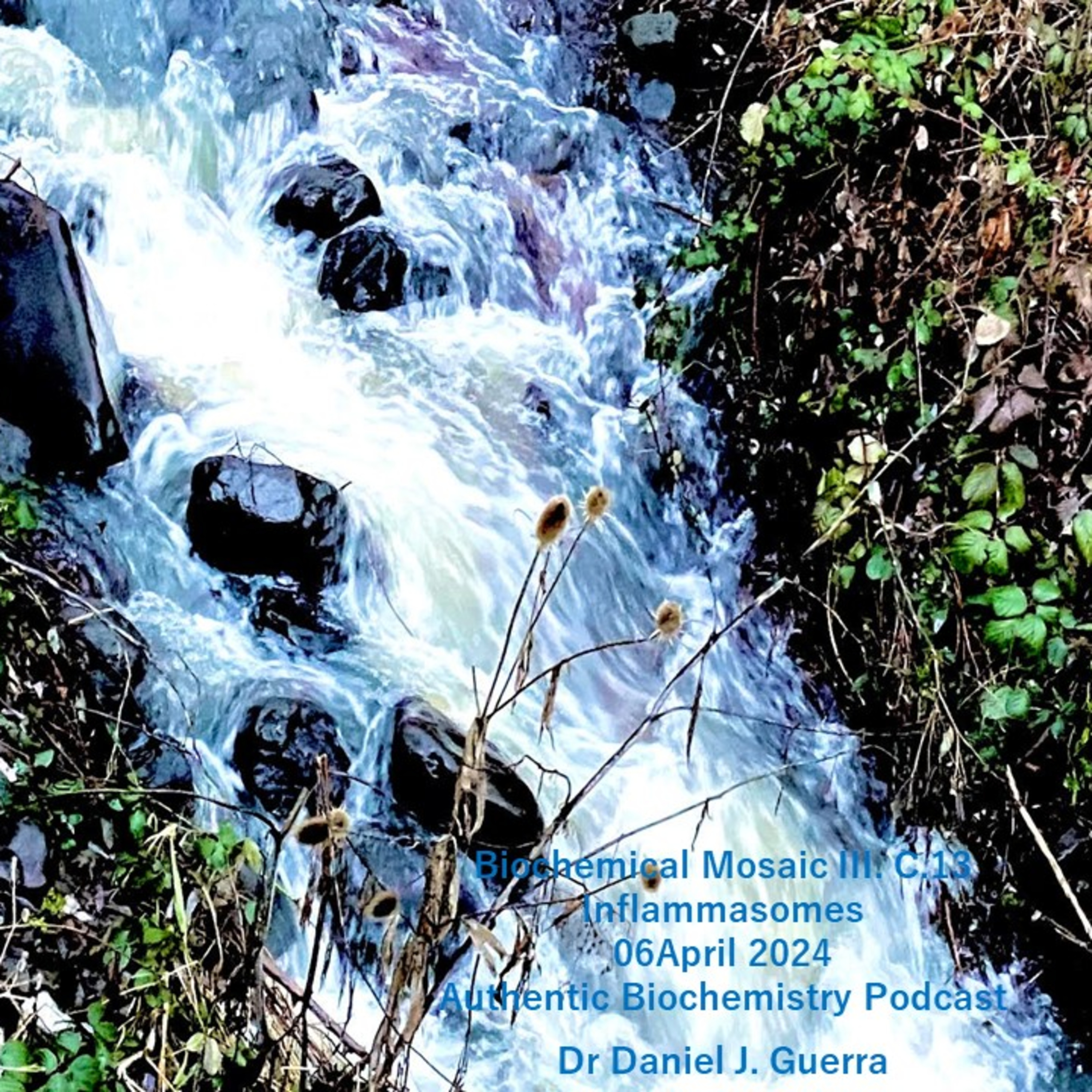 Biochemical Mosaic III.c.13. A priori intralocution of inflammasome genomic loci with stress phenomena immunoepigenetically resolves defensive inflammation. DJGPhD.6April24. Authentic Biochemistry.