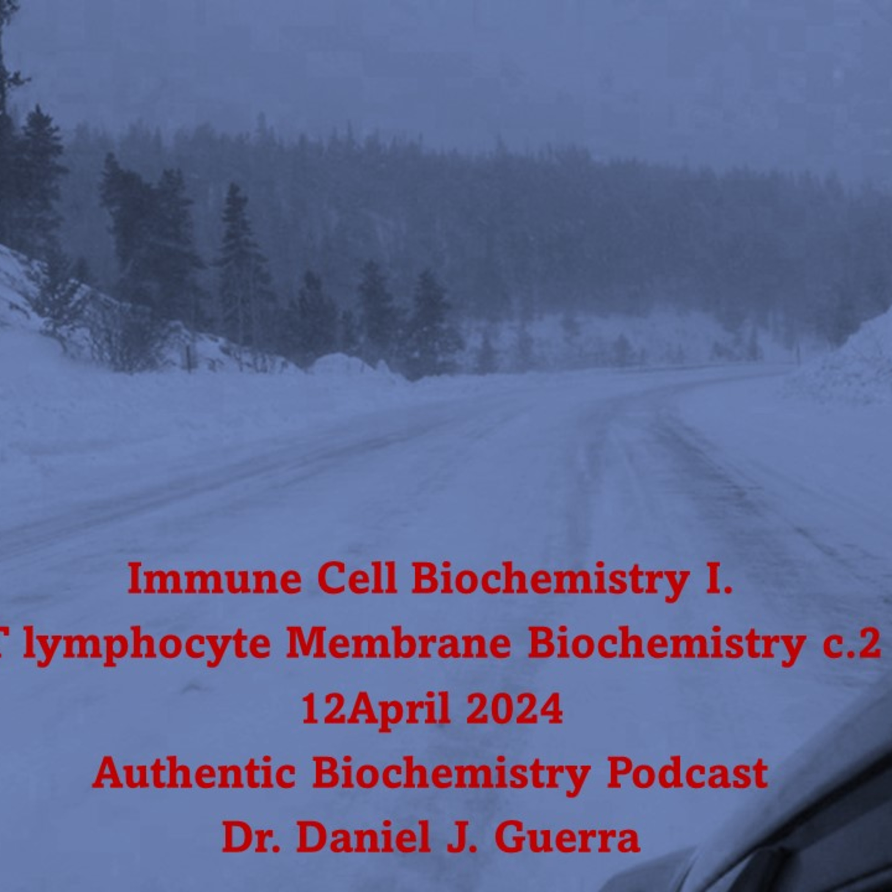 Immune Cell Biochemistry I.T lymphocyte Membrane Biochemistry c.2 Lipid mespmorph and radius assymetry direct Tcell membrane sterol and protein interdigitation that is altered by pressure via PV=nRT.