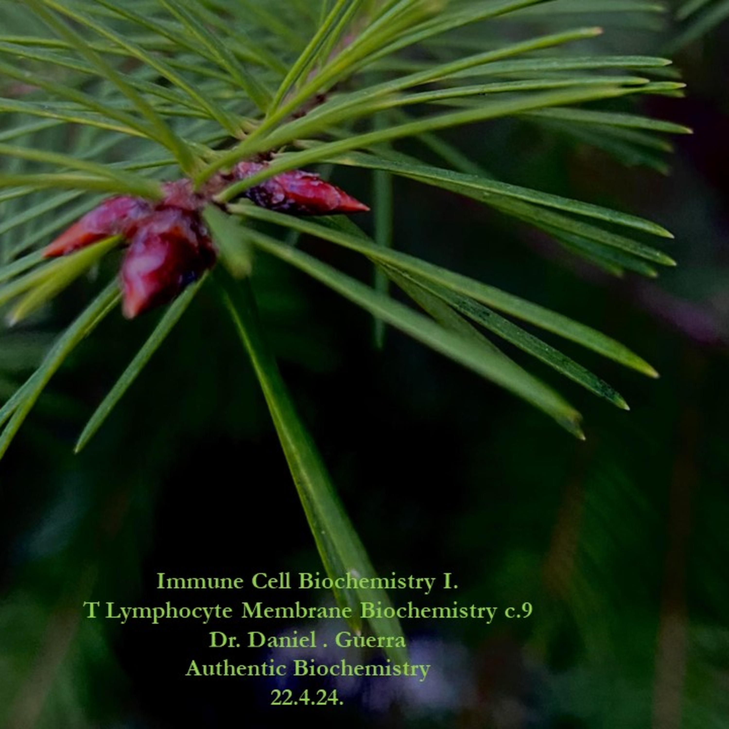 Immune Cell Biochemistry I. T lymphocyte Membrane Biochemistry. c.9. The involved CH2O sequence event ontology. DJGPhD.22.4.24