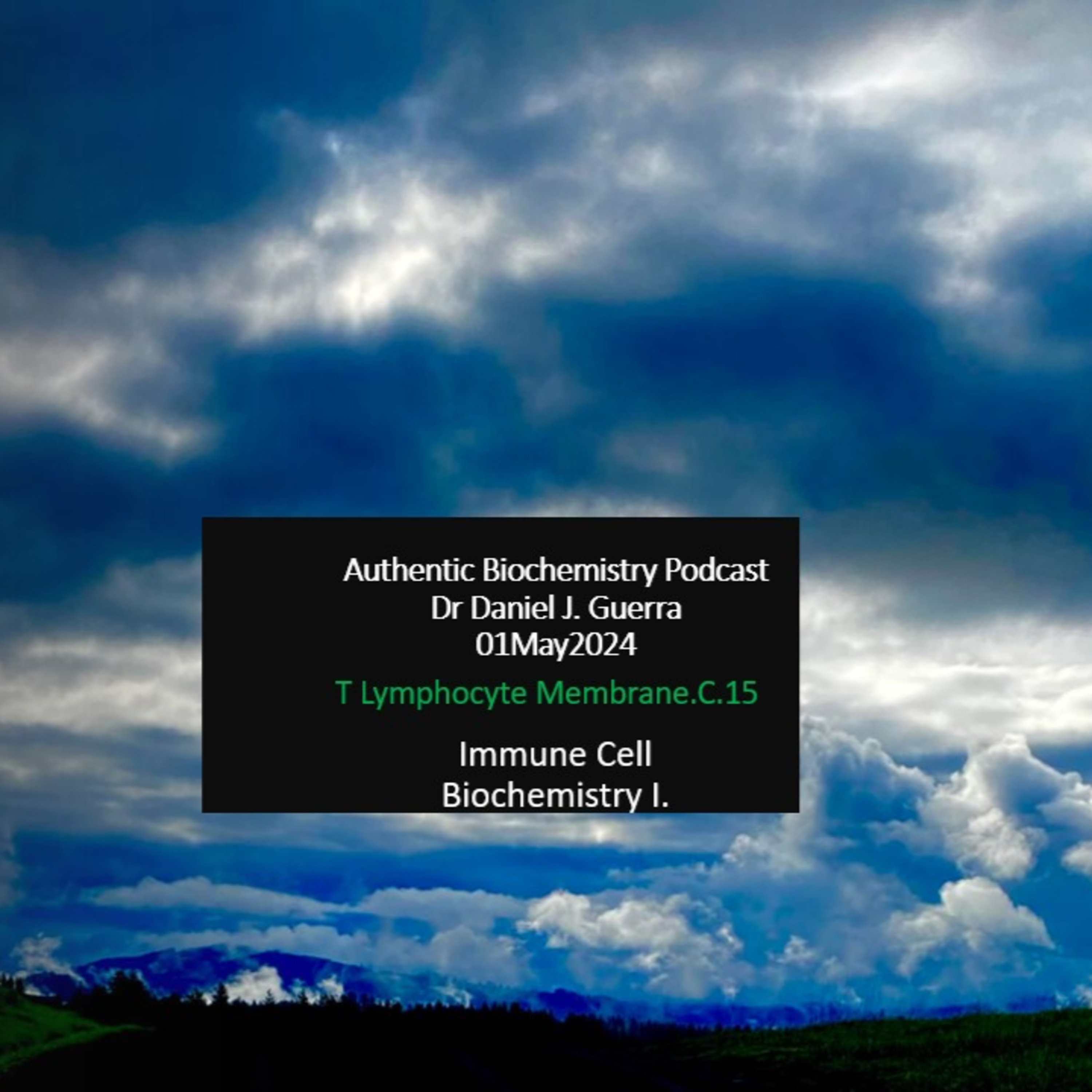 Immune Cell Biochemistry I. T Lymphocyte Membrane.C.15. Authentic Biochemistry Podcast.Dr Daniel J. Guerra.01May2024.
