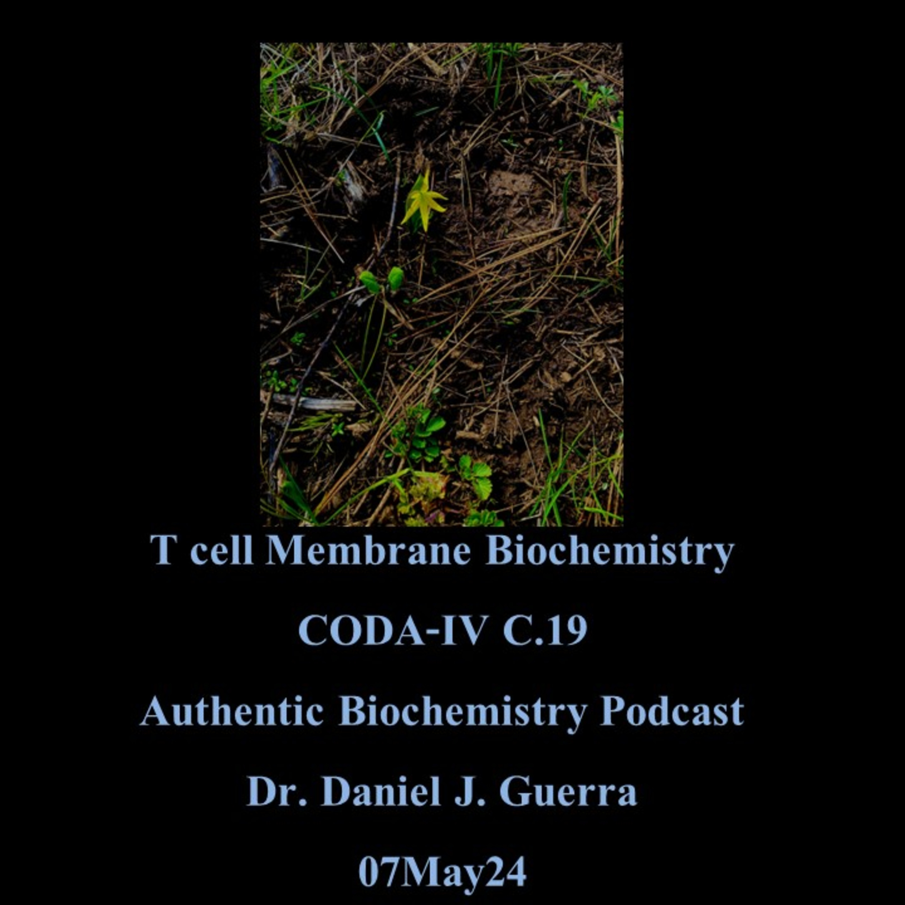 Immune Cell Biochemistry I. T cell Membrane Biochemistry. CODA-IV. C.19. Authentic Biochemistry Podcast. Dr. Daniel J. Guerra . 07May24