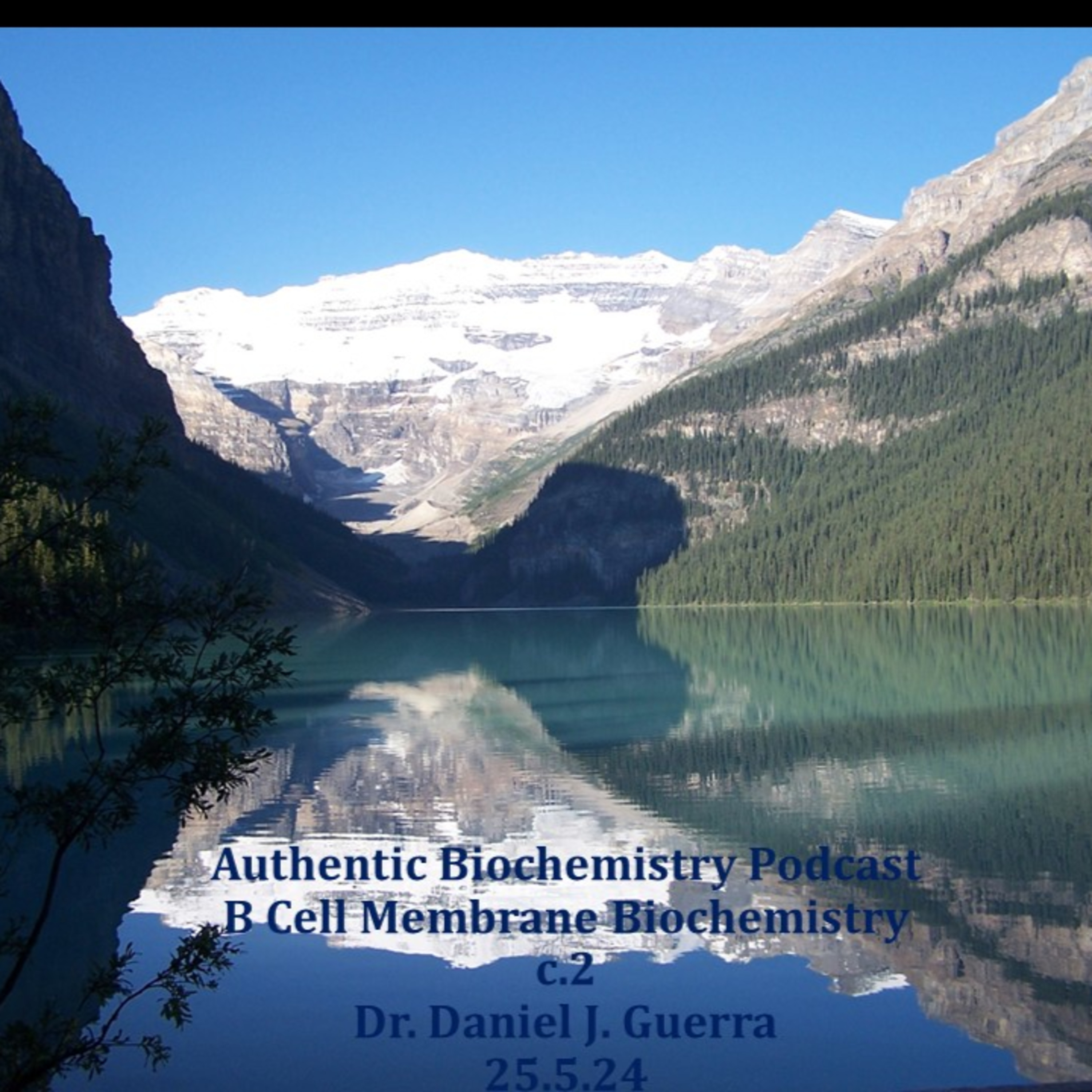 Authentic Biochemistry Podcast. B Cell Membrane Biochemistry.c.2.Dr. Daniel J. Guerra. 25.5.24