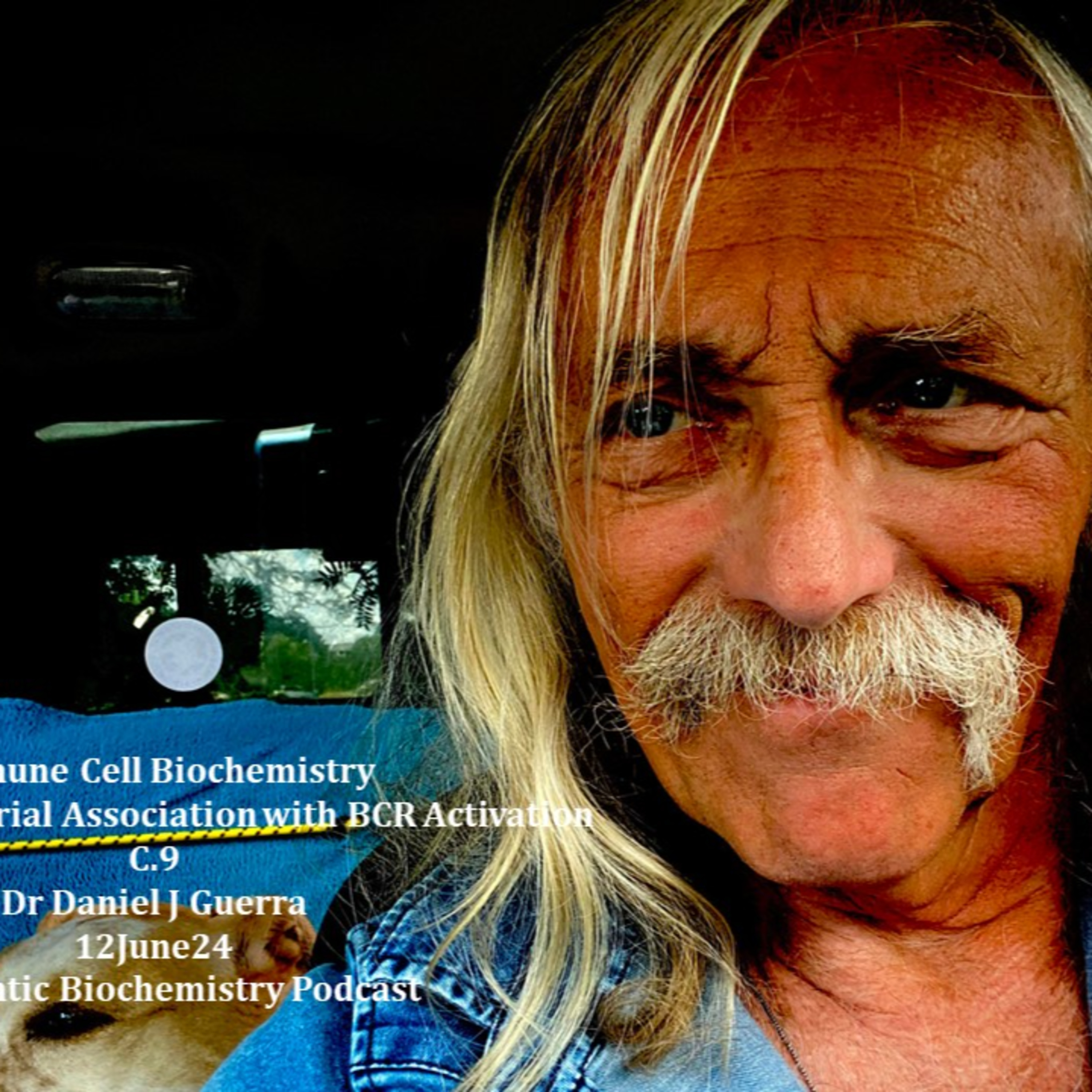 Immune Cell biochemistry. BCR activation results in mitochondrial alteration in ETC and OXPHOS. DJGPhD. 12June24 Authentic Biochemistry.
