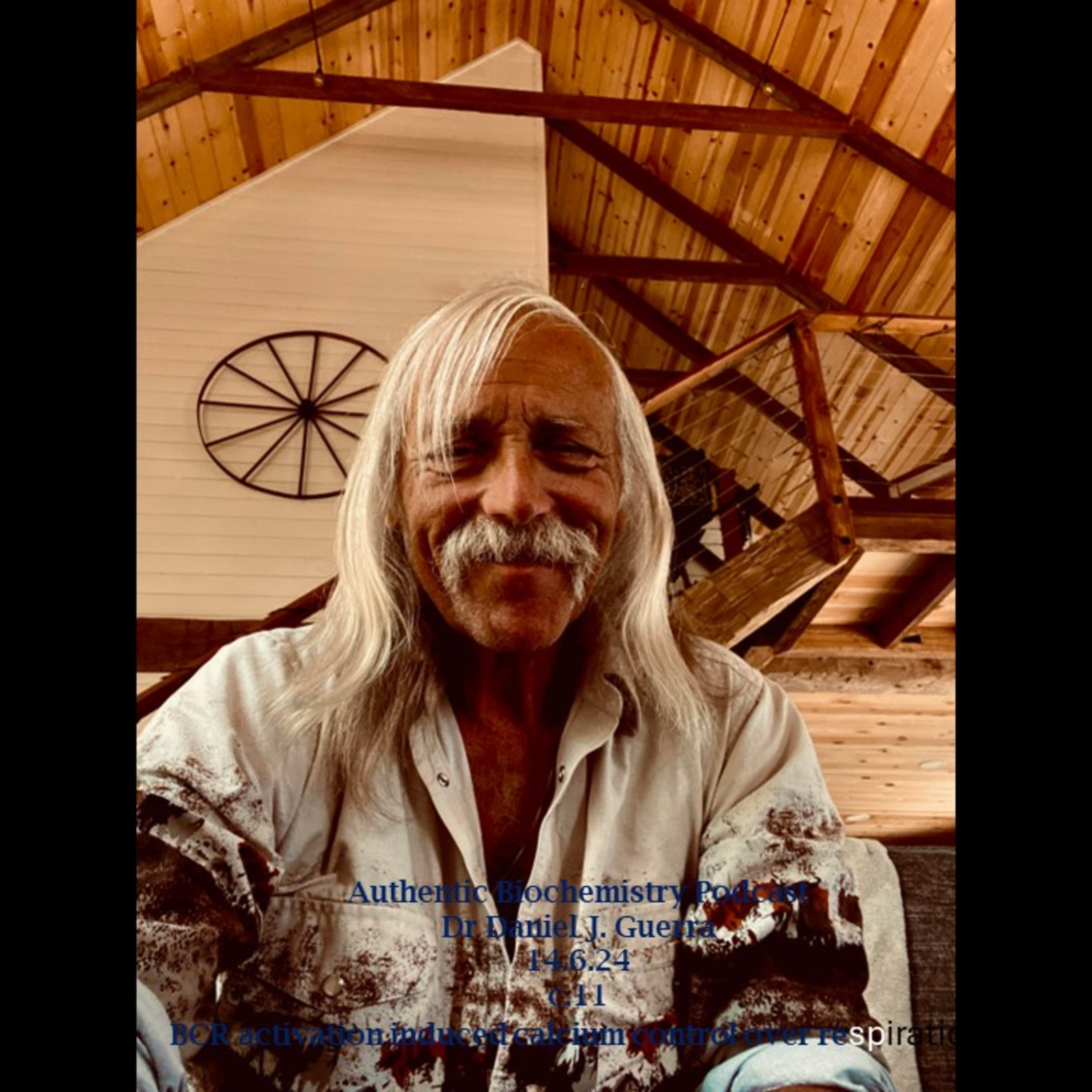 Immune Cell Biochemistry. Bcell Electron transport control via calcium mobilization after BCR activation. DJGPhD. 14.6.24. Authentic biochemistry Podcast