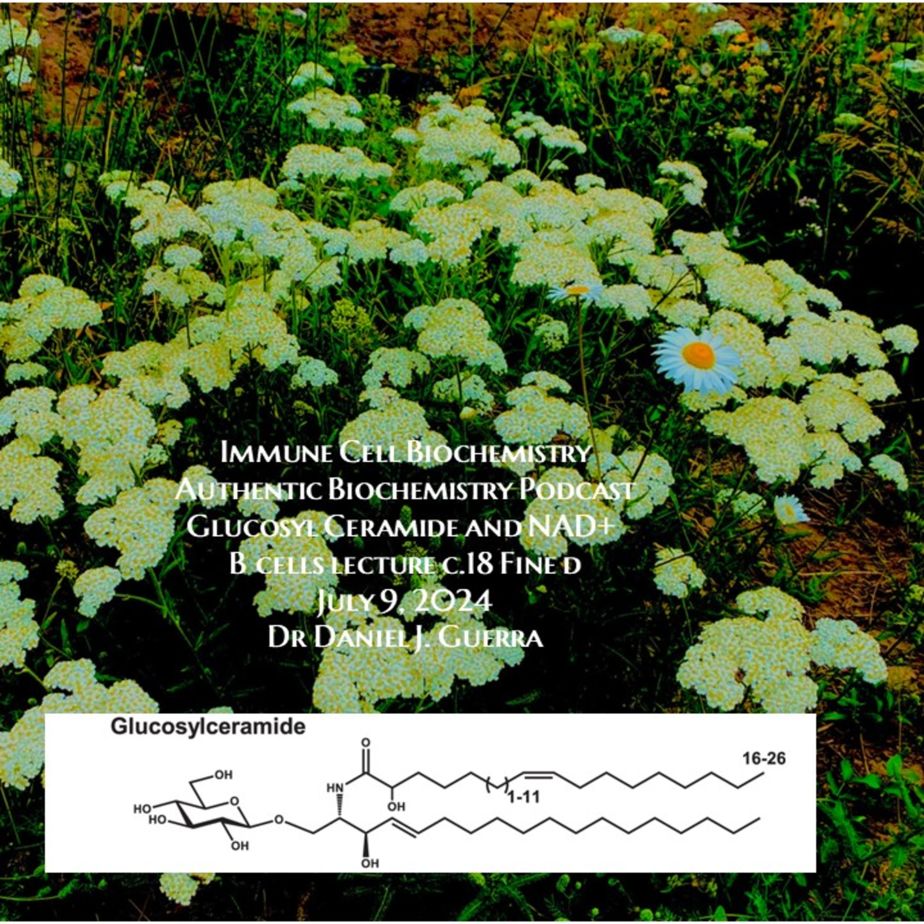 Authentic Biochemistry