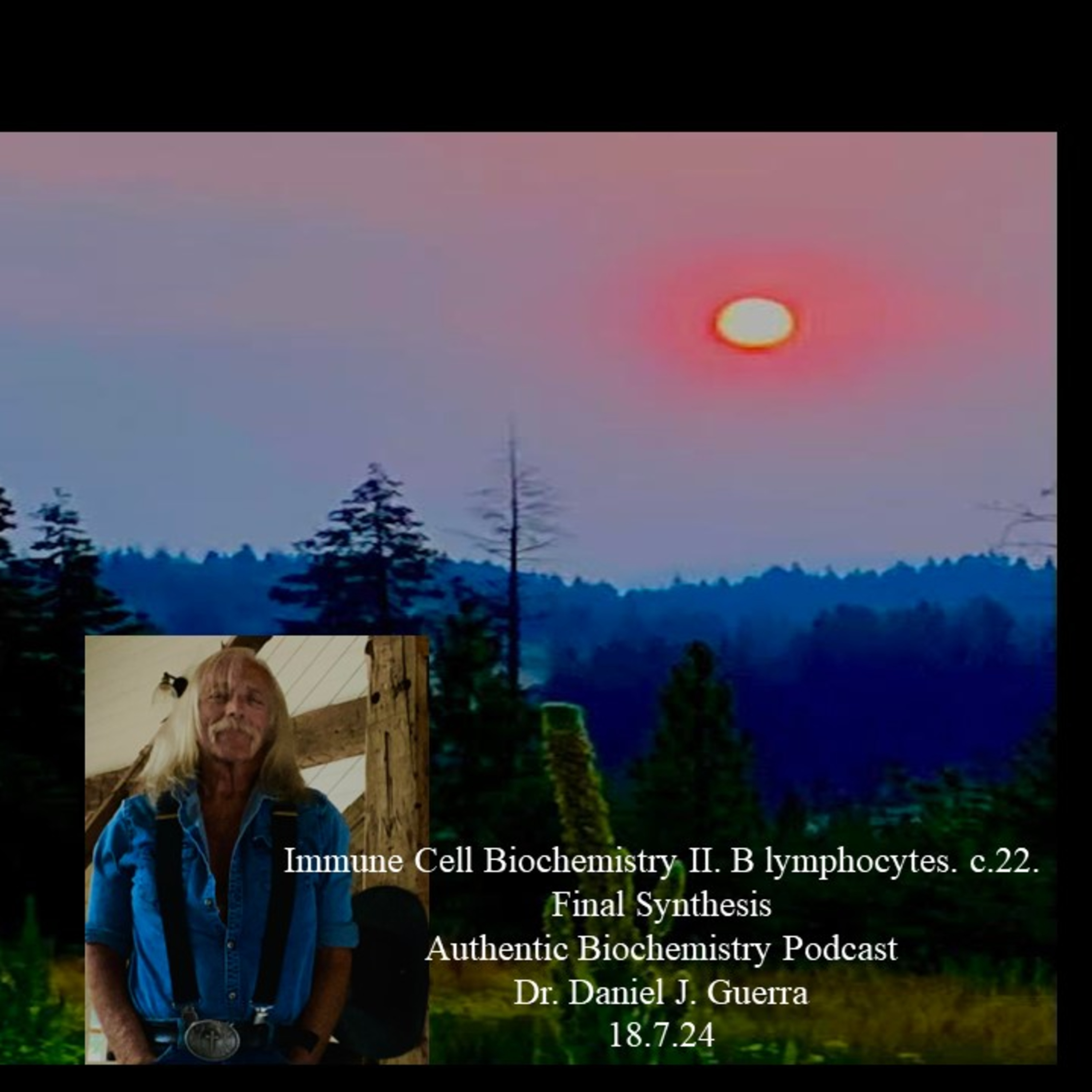 Immune Cell Biochemistry II. B lymphocytes. c.22. Final Synthesis Authentic Biochemistry Podcast Dr. Daniel J. Guerra 18.7.24