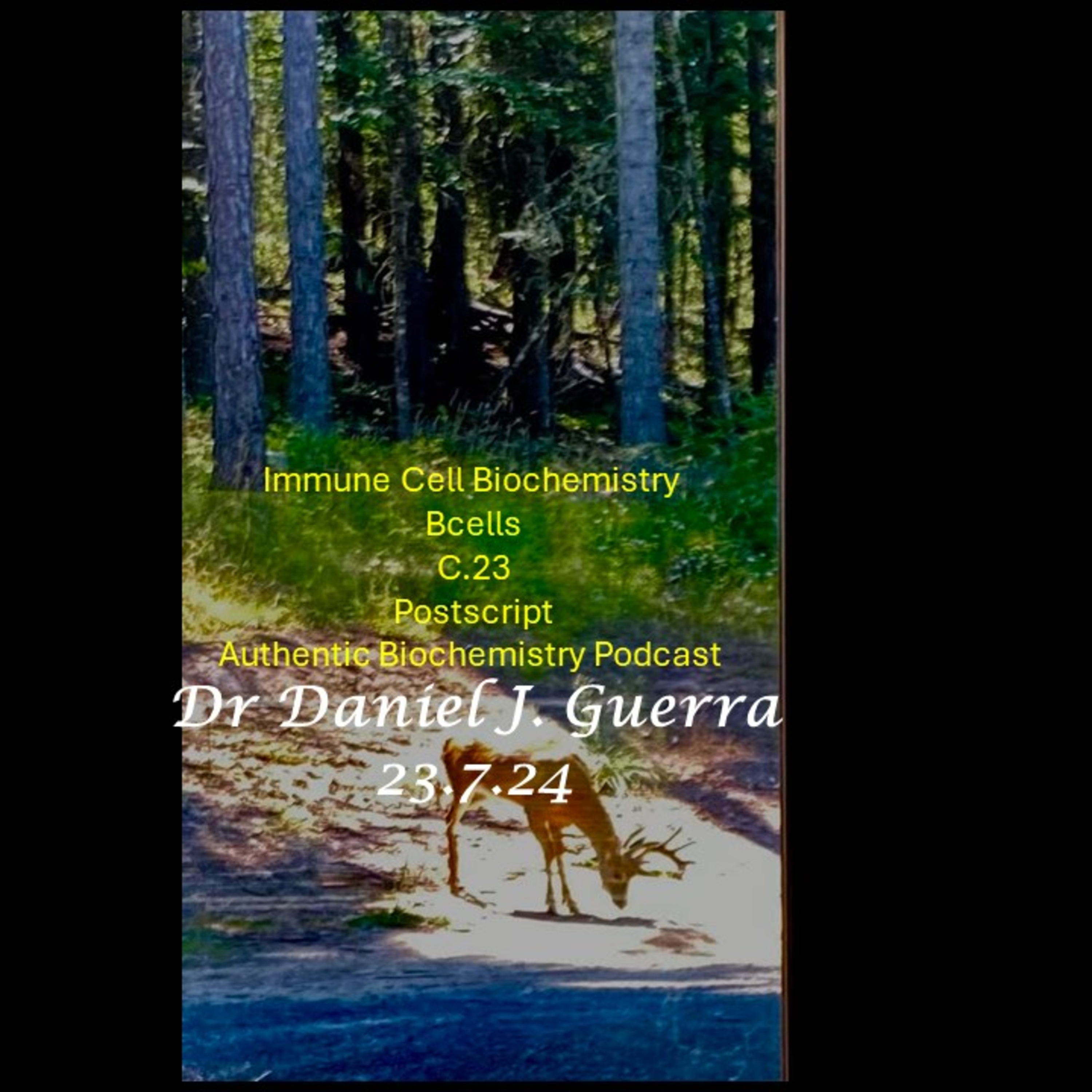 Immune Cell Biochemistry. B cells C.23 Postscript Authentic Biochemistry Podcast. Dr Daniel J. Guerra 23.7.24