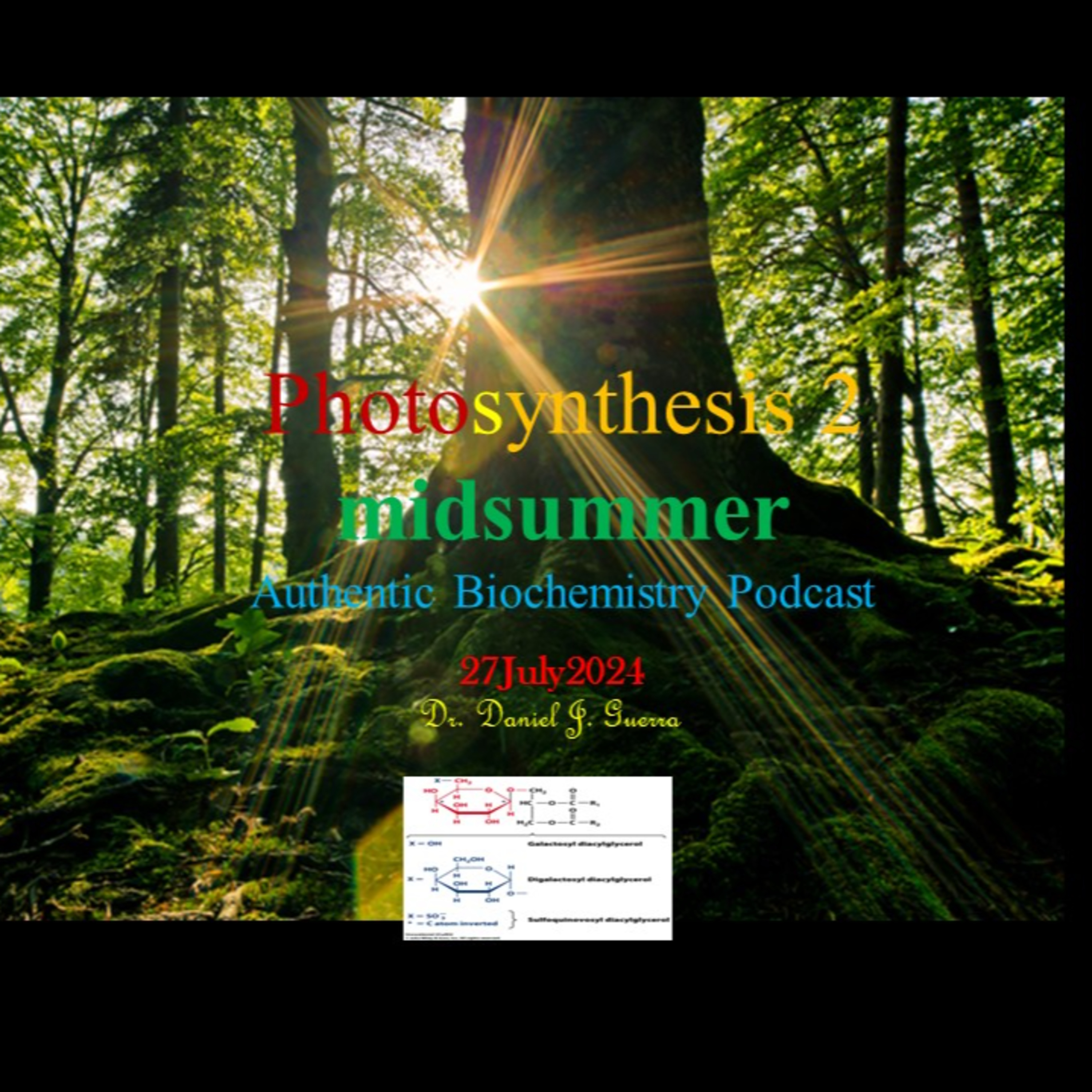 Authentic Biochemistry Midsummer Lecture Series. Plant Biochemistry Interlude II. Chloroplast Lipids and Photosynthesis. 27.7.24.