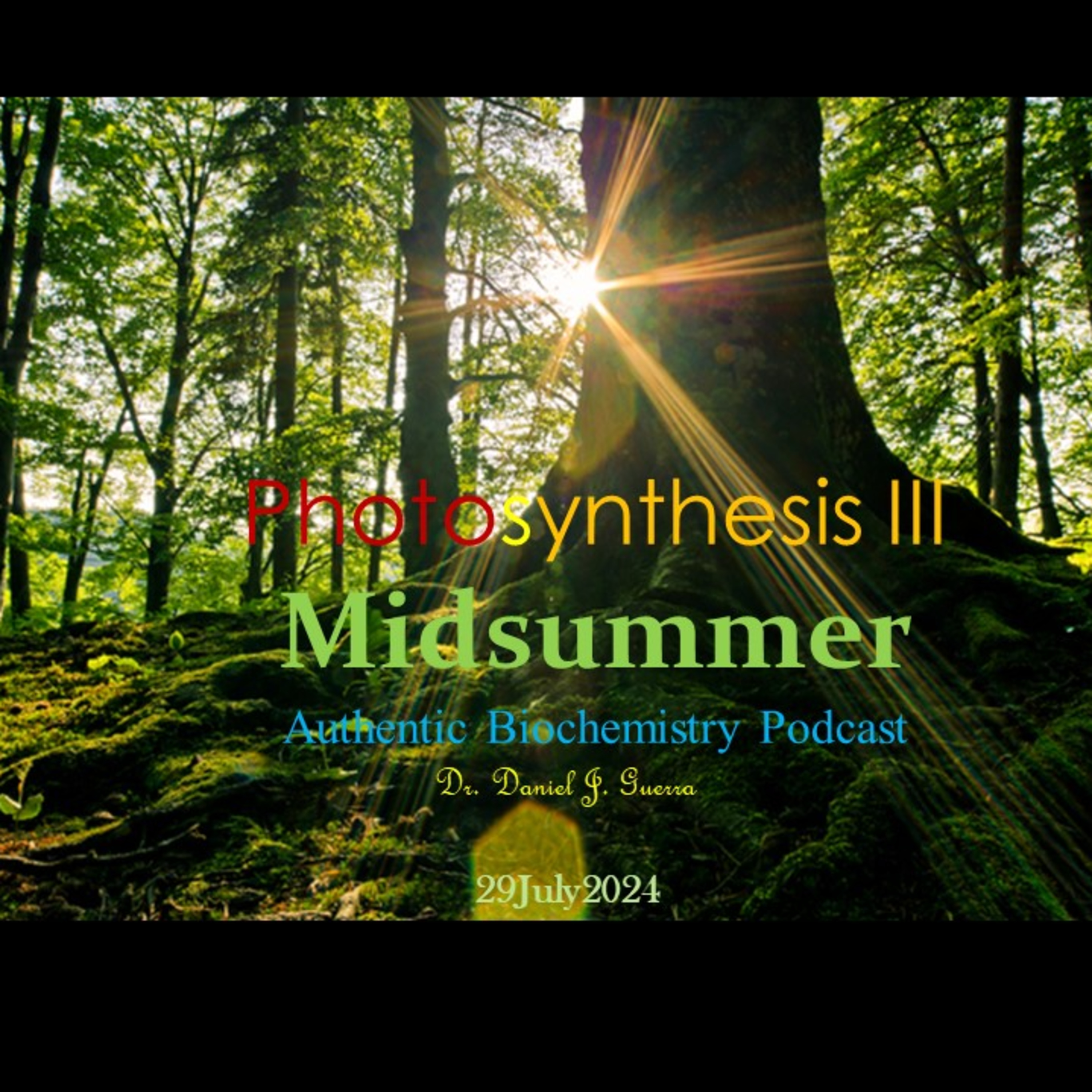 Photosynthesis III. Midsummer. Authentic Biochemistry Podcast.DJGPhD.29.7.24