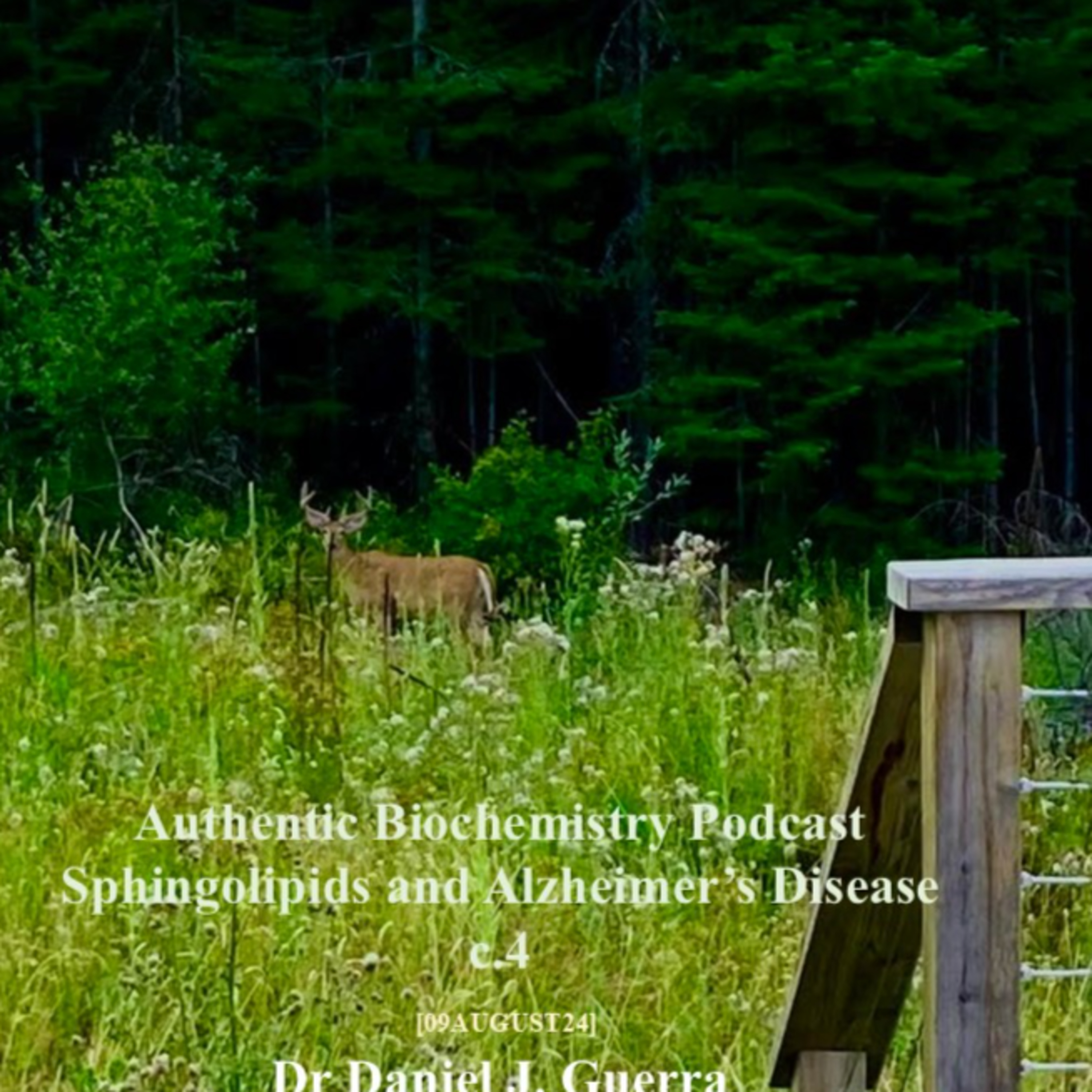 Authentic Biochemistry Podcast. Sphingolipids and Alzheimer’s Disease c.4 [09AUGUST24] Dr Daniel J. Guerra