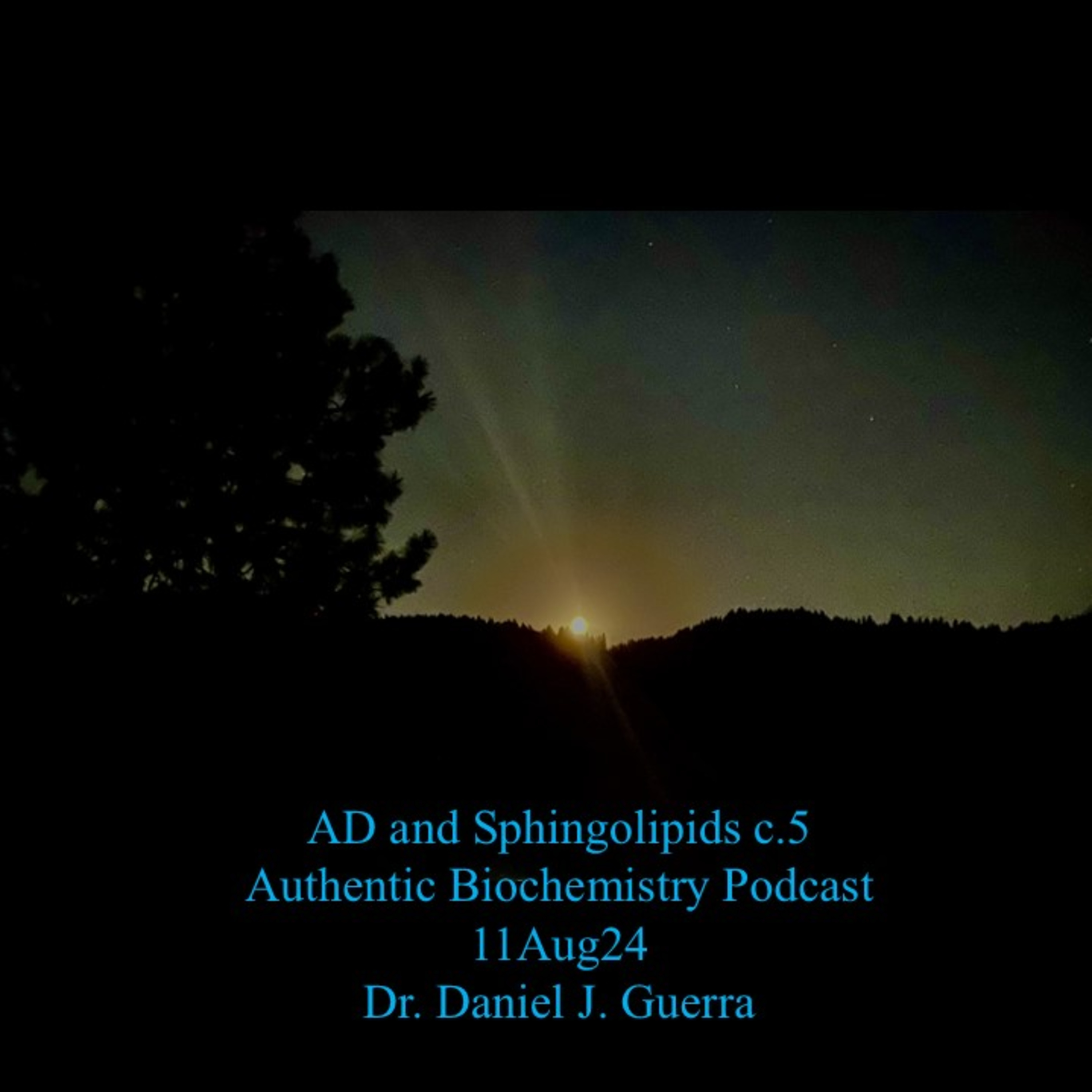 AD and Sphingolipids c.5 Sphingomyelinase and Ceramide molecular heterogeneity in AD is associated with bioenergetics and Ketone availability. Authentic Biochemistry. 11Aug24 Dr. Daniel J. Guerra