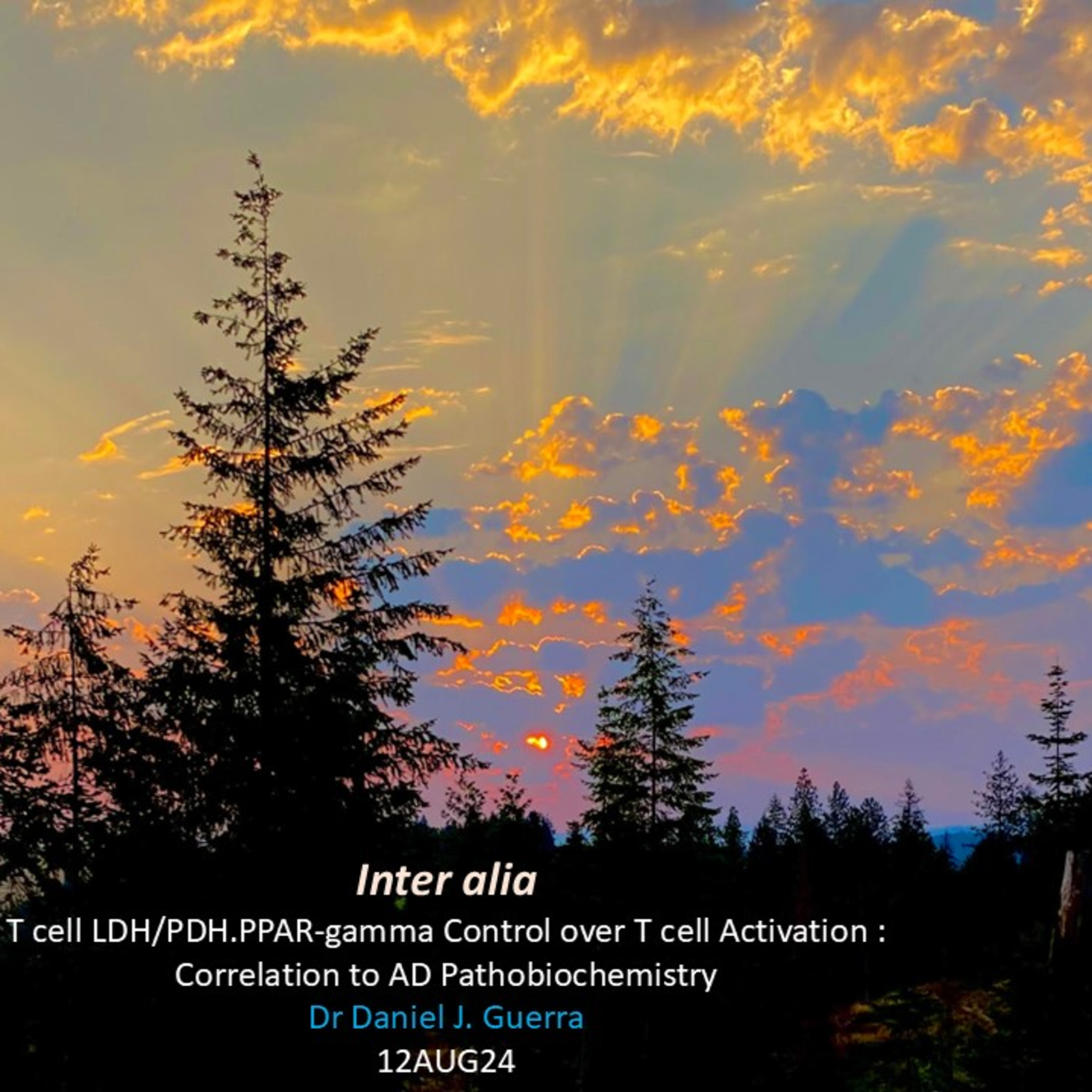 Inter Alia, The PDH/LDH/PDHK Axis for T Lymphocyte Activation intersection with AD pathobiochemistry. DJGPhD. 12AUG24