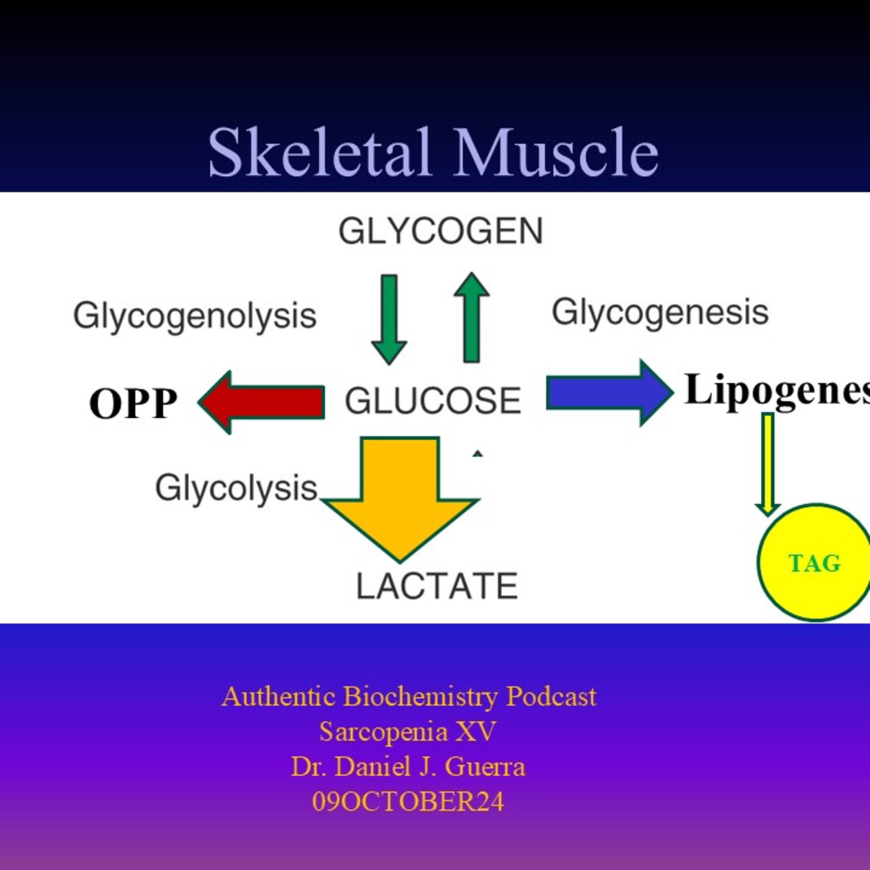 Authentic Biochemistry