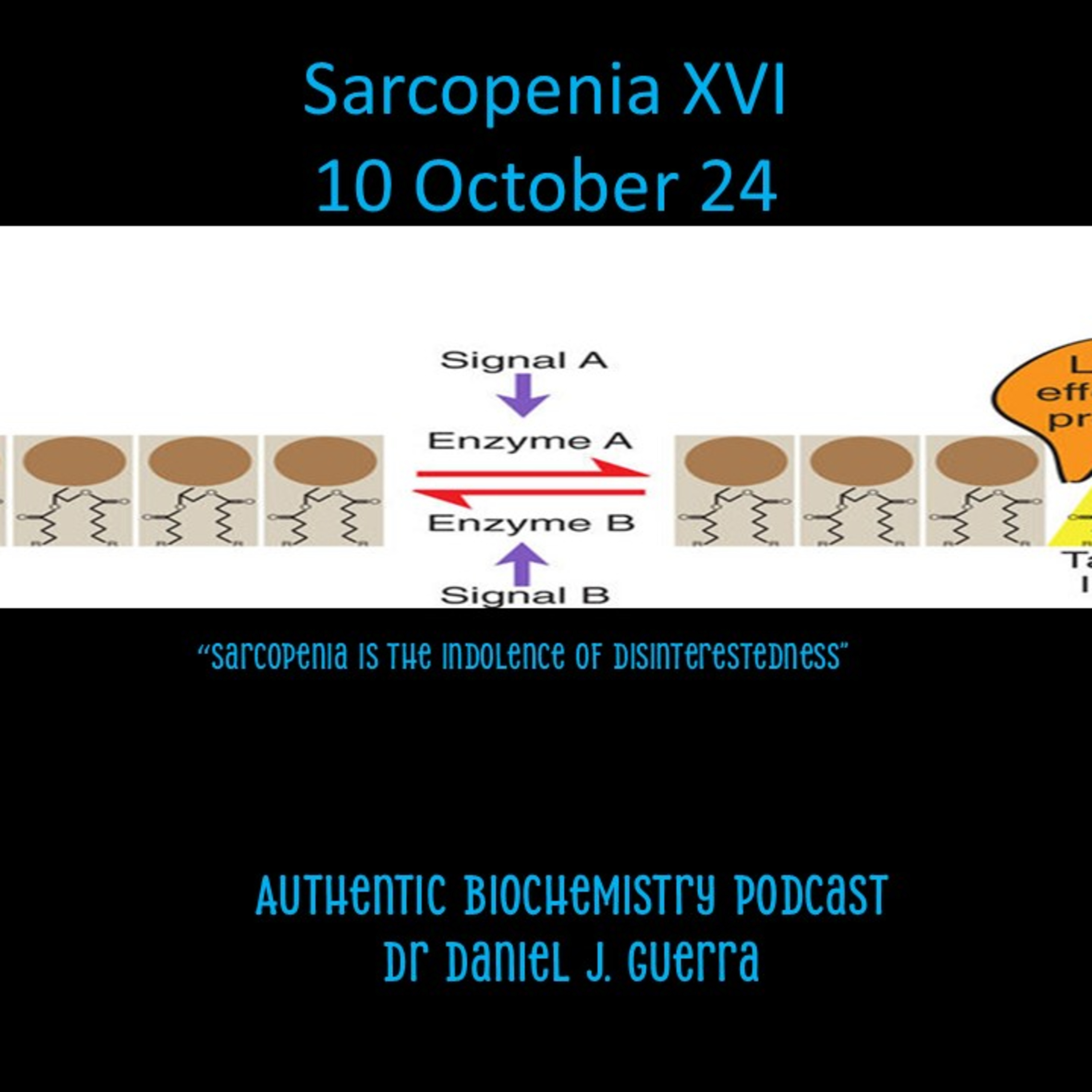 Authentic Biochemistry Podcast. Sarcopenia XVI. Phosphatidic Acid and the mTORC axis of Muscle Protein Translation.DJGPhD10 October 24
