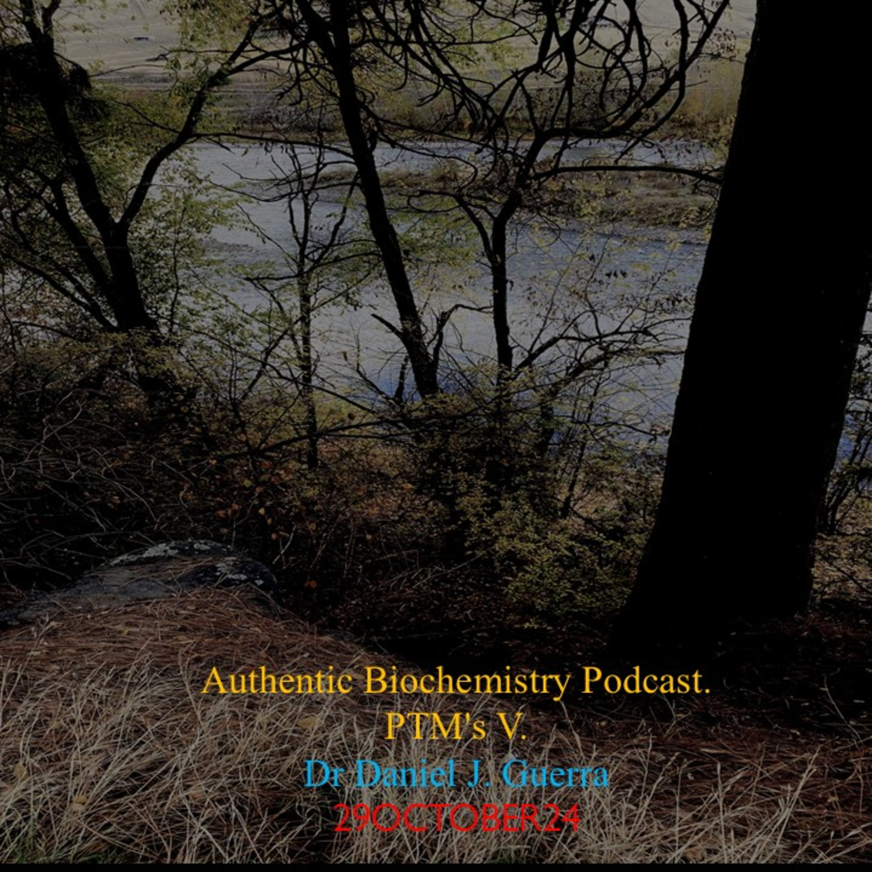 Authentic Biochemistry Podcast. PTM's V. Unique Autocatalytic Cholesterylation of a HedgeHog Signaling GPCR. Dr Daniel J. Guerra 29OCTOBER24