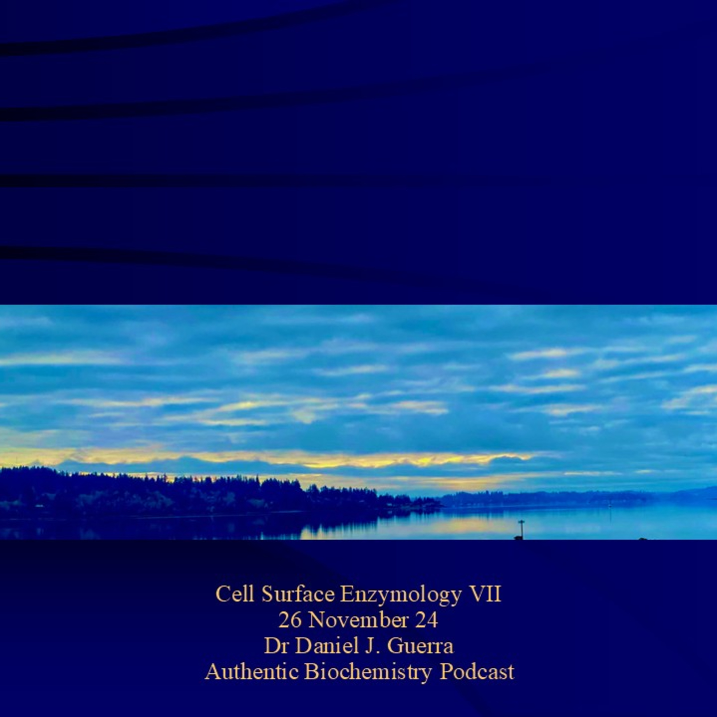 Authentic Biochemistry Podcast Cell Surface Enzymology VII. Fret Matrix Metalloprotease Interrogations I. 26Nov24 Dr Daniel J. Guerra.