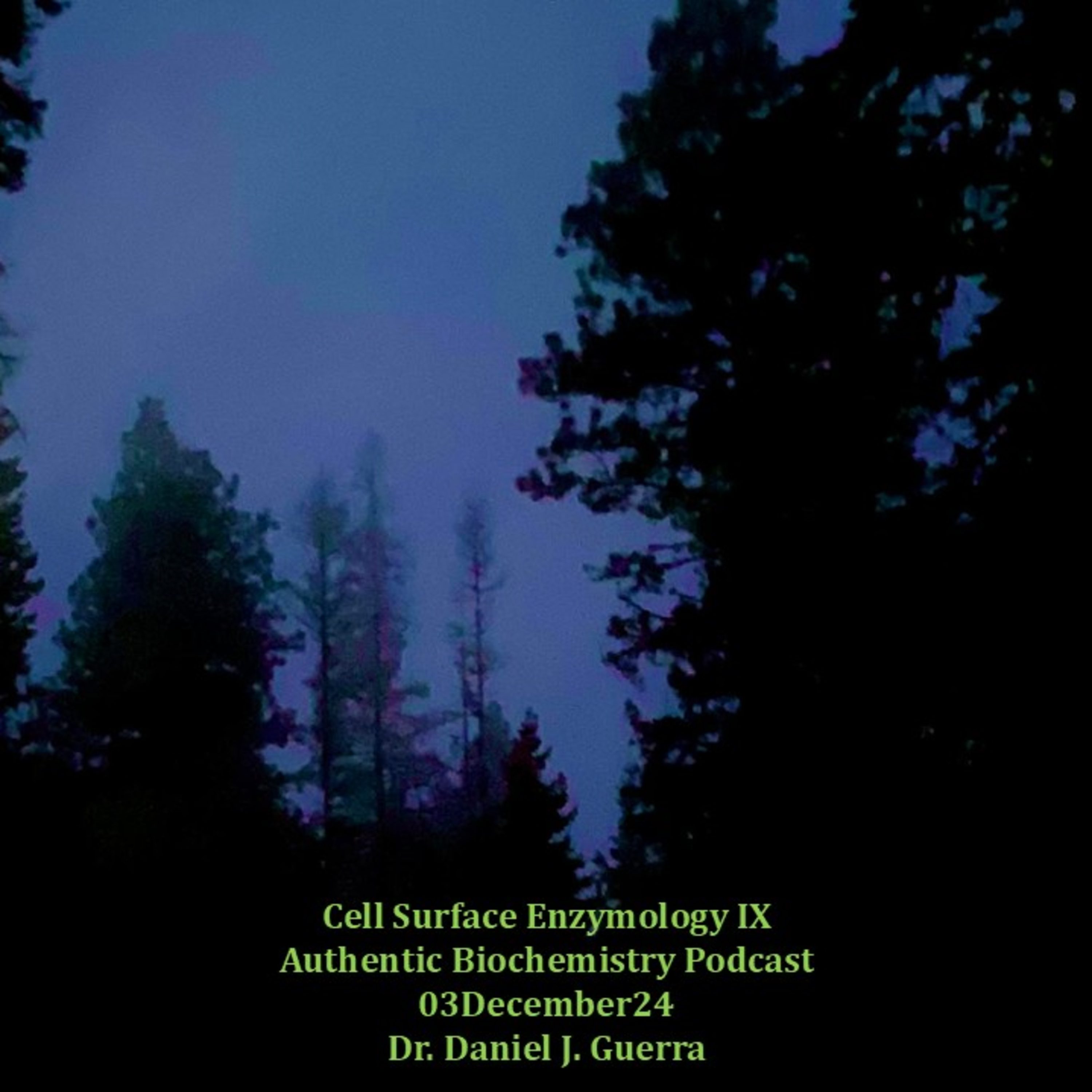 Authentic Biochemistry Podcast. Cell Surface Mediated Enzyme Regulation IX. CD8+TCell Immunosuppression. Dr Daniel J. Guerra. 03Dec24