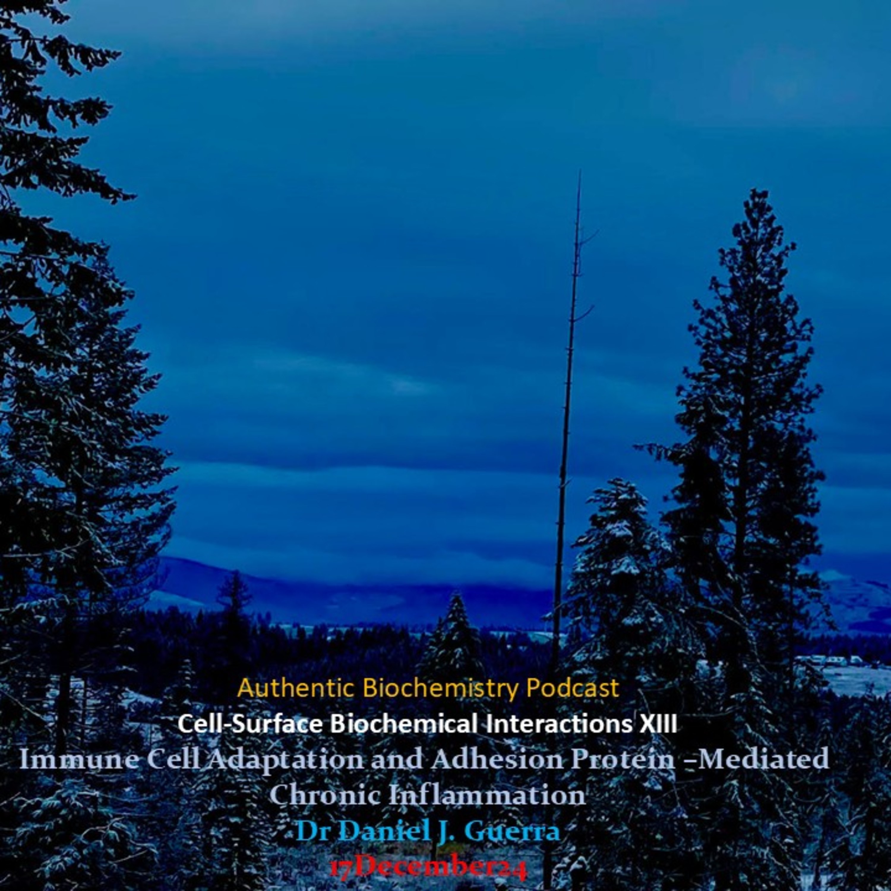 Authentic Biochemistry Podcast . Cell-Surface Biochemical Interactions XIII Immune Cell Adaptation and Adhesion Protein –Mediated Chronic Inflammation Dr Daniel J. Guerra 17December24.