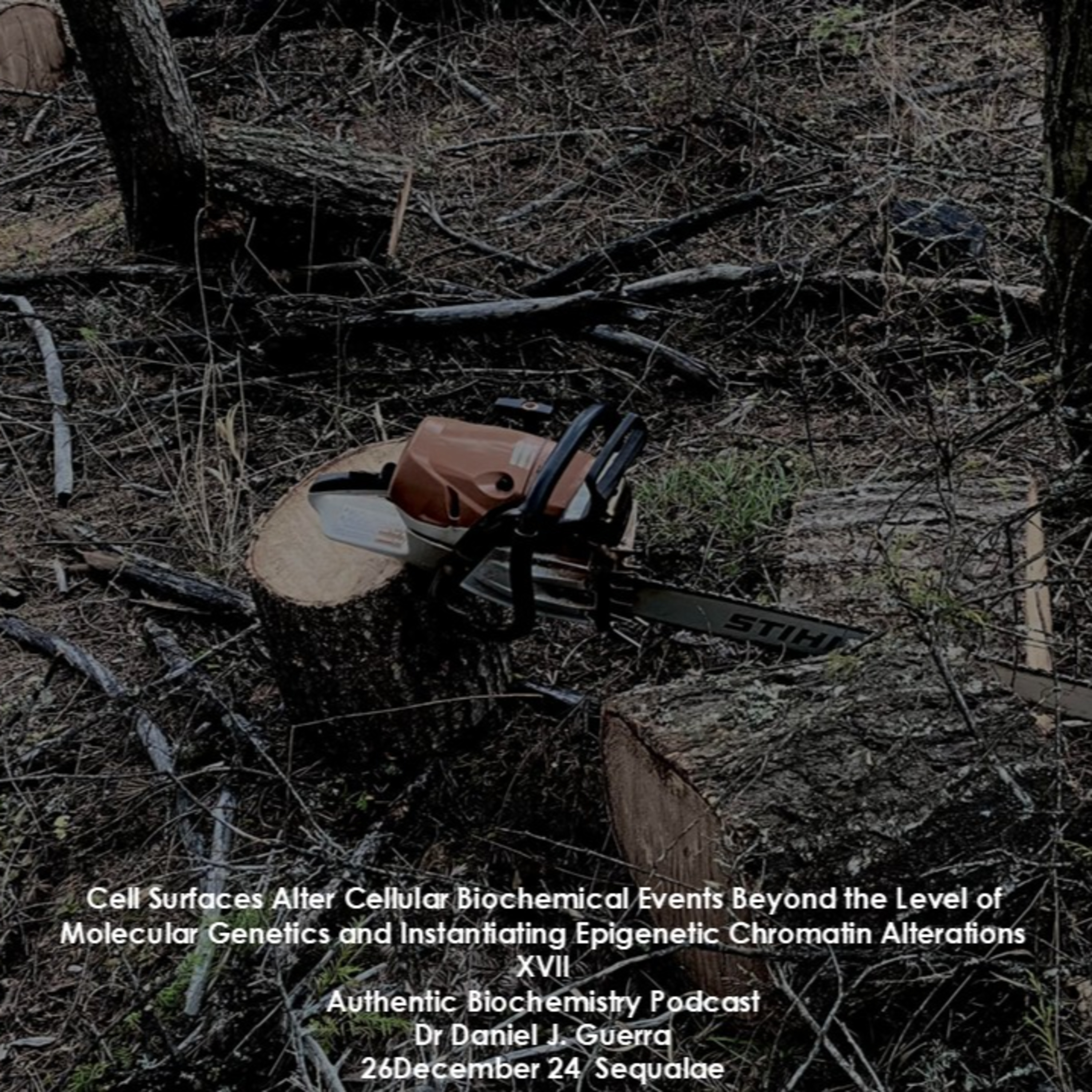 Authentic Biochemistry