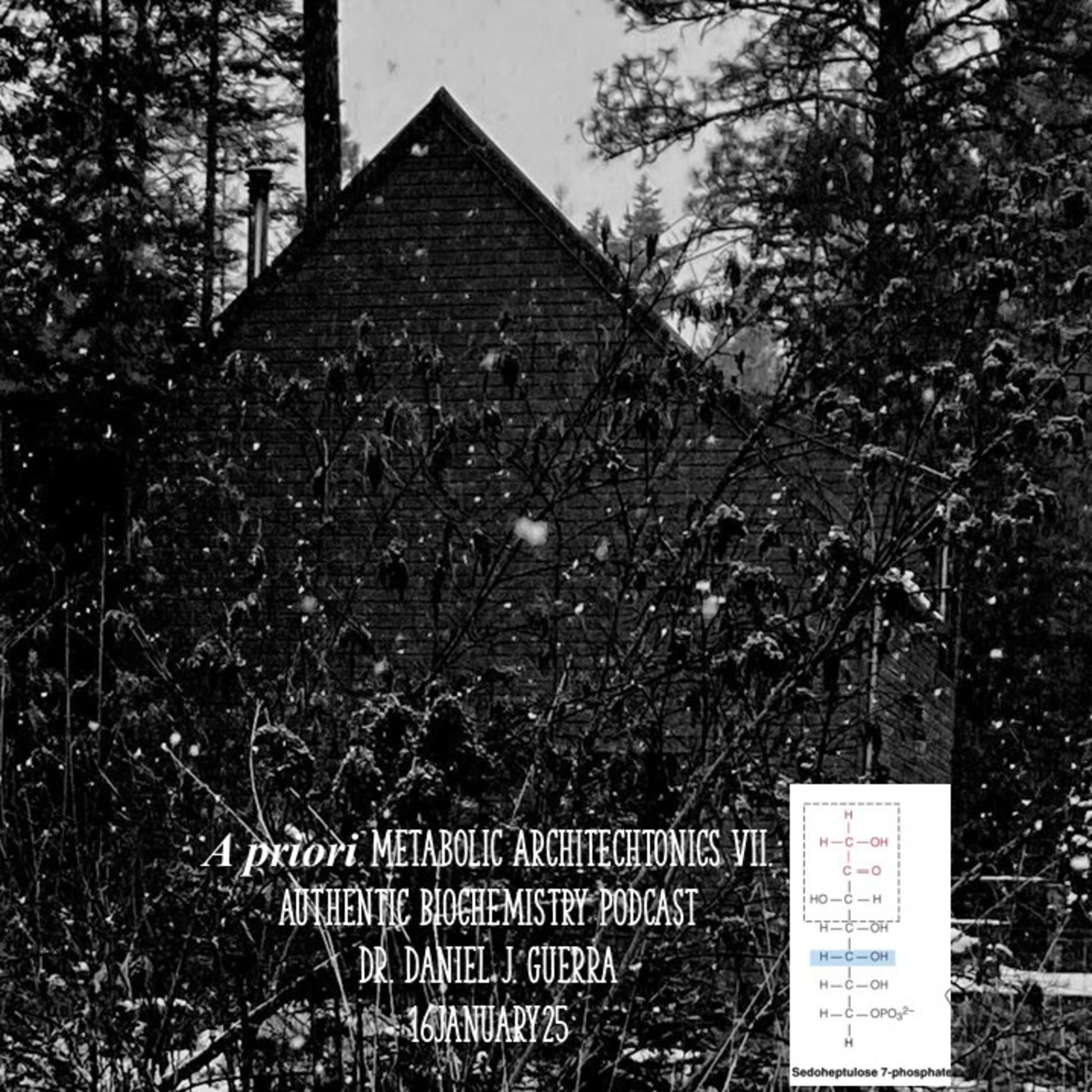 A priori Metabolic Architectonics VII. Authentic Biochemistry Podcast. Dr. Daniel J. Guerra 16January25