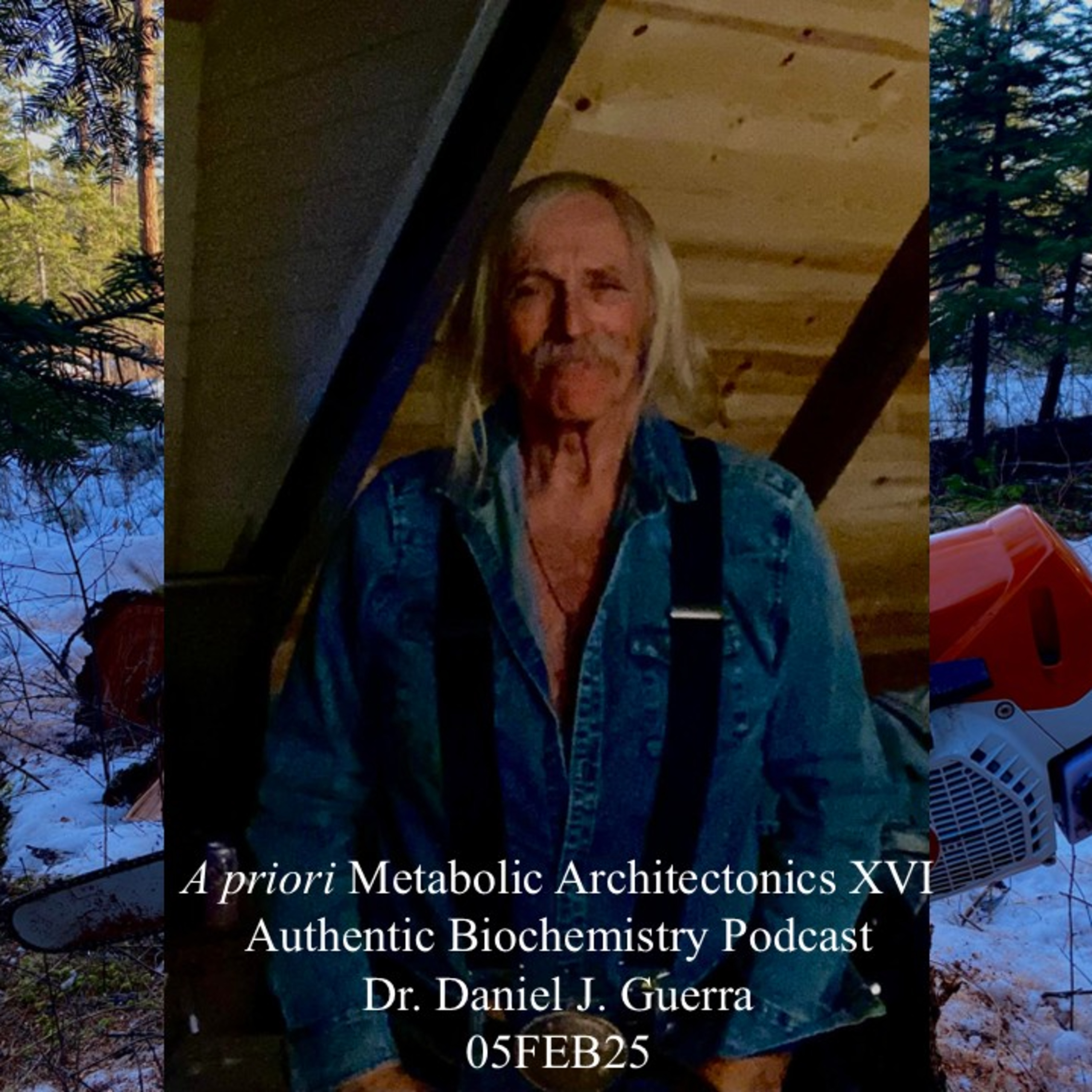 A priori Metabolic Architectonics. XVI. Authentic Biochemistry Podcast. Dr. Daniel J. Guerra 05FEB25