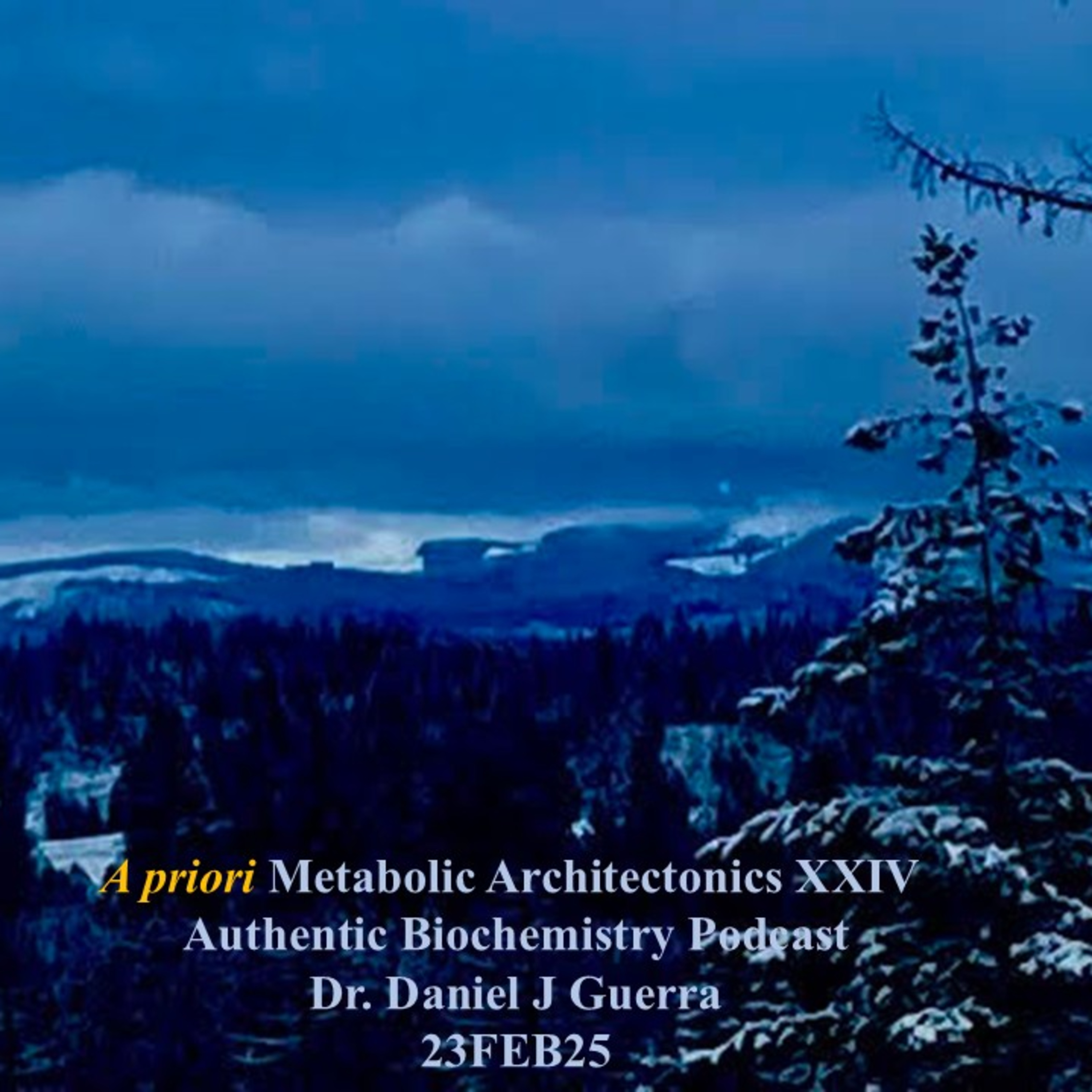 A priori Metabolic Architectonics XXIV. Authentic Biochemistry Podcast. Dr. Daniel J. Guerra 23FEB25