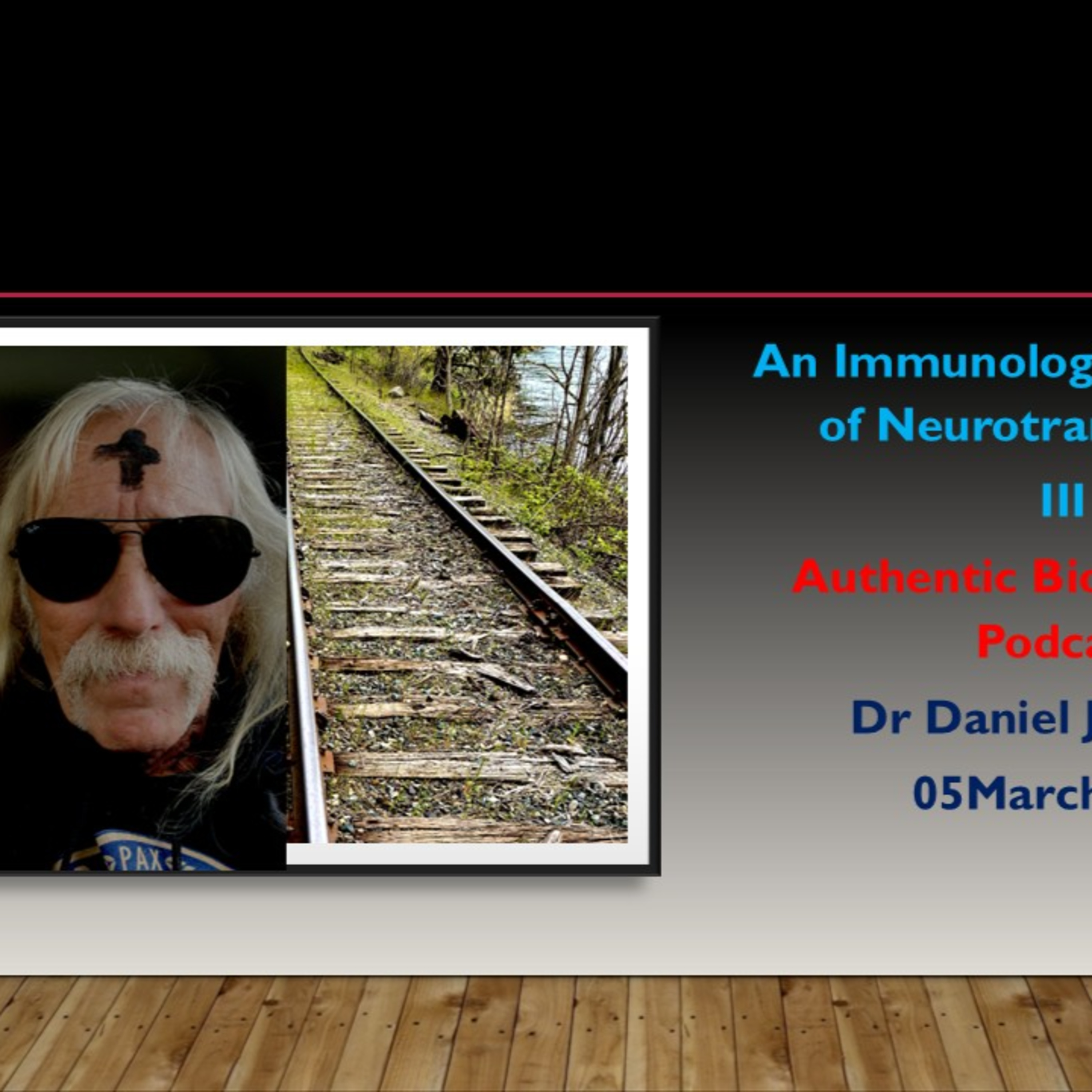 An Immunological Framing of Neurotransmission III Authentic Biochemistry Podcast Dr Daniel J Guerra 05March2025