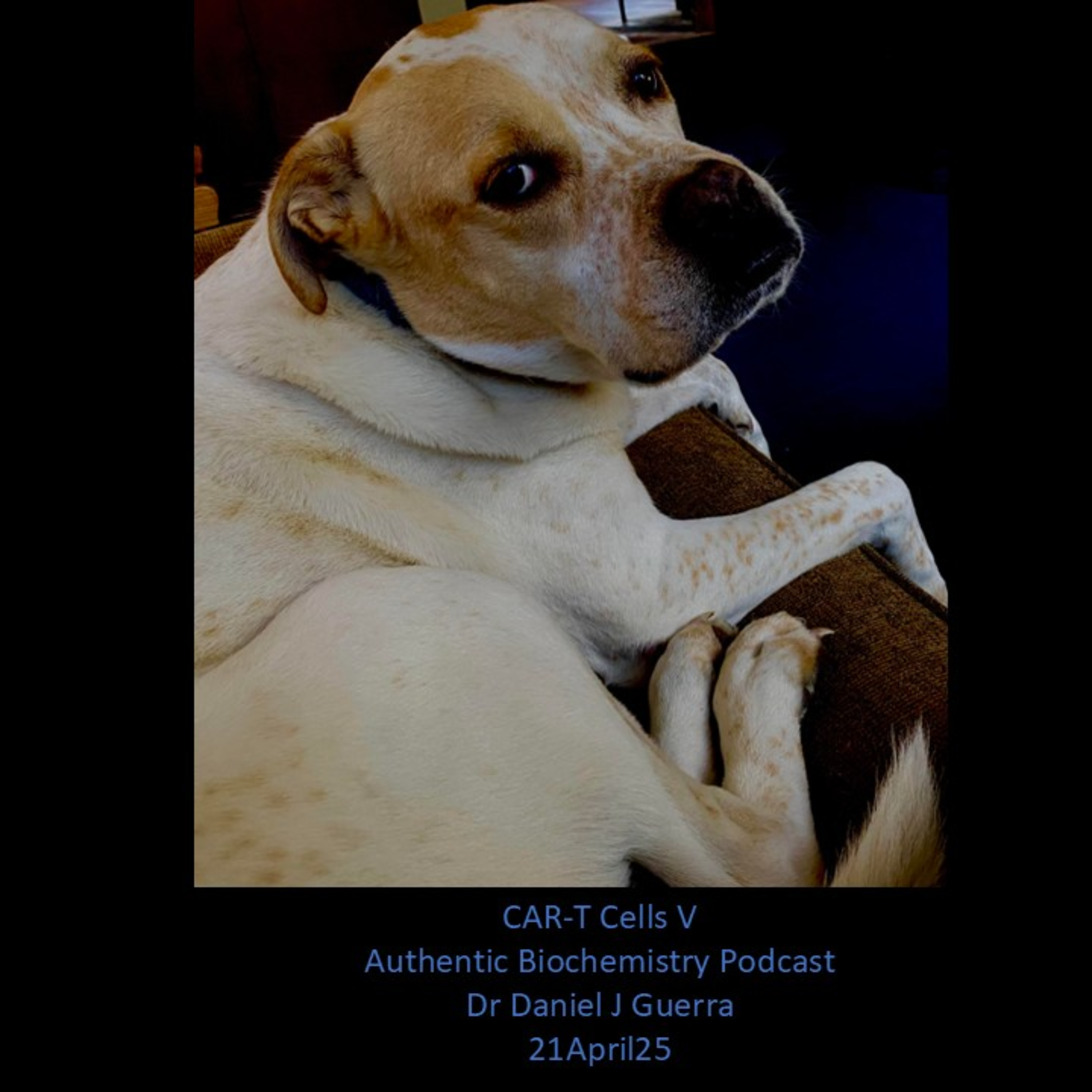 CAR-T Cells V. Authentic Biochemistry Podcast. Dr. Daniel J. Guerra. 21April25