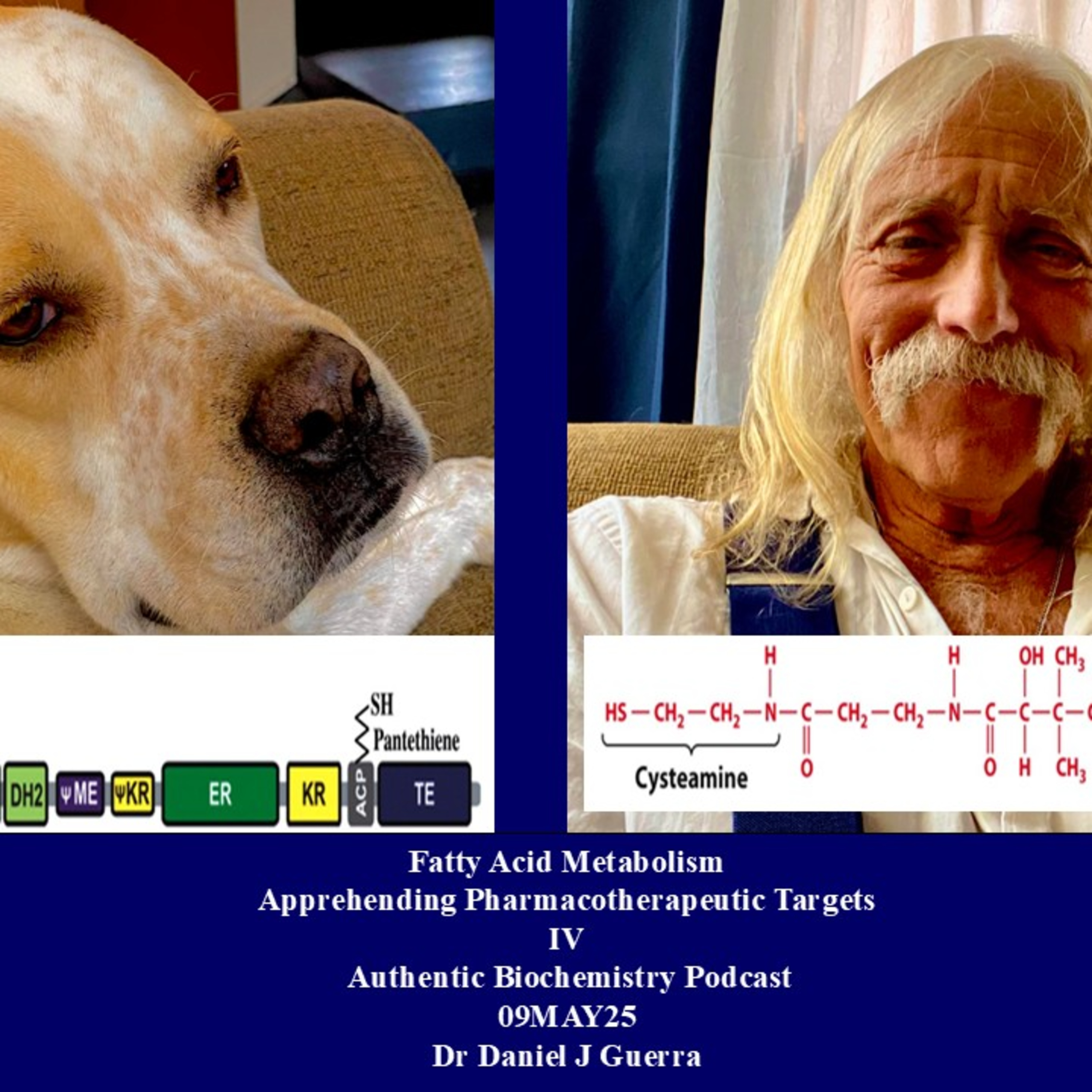 Fatty Acid Metabolism Apprehending Pharmacotherapeutic Targets IV Authentic Biochemistry Podcast 09MAY25 Dr Daniel J Guerra