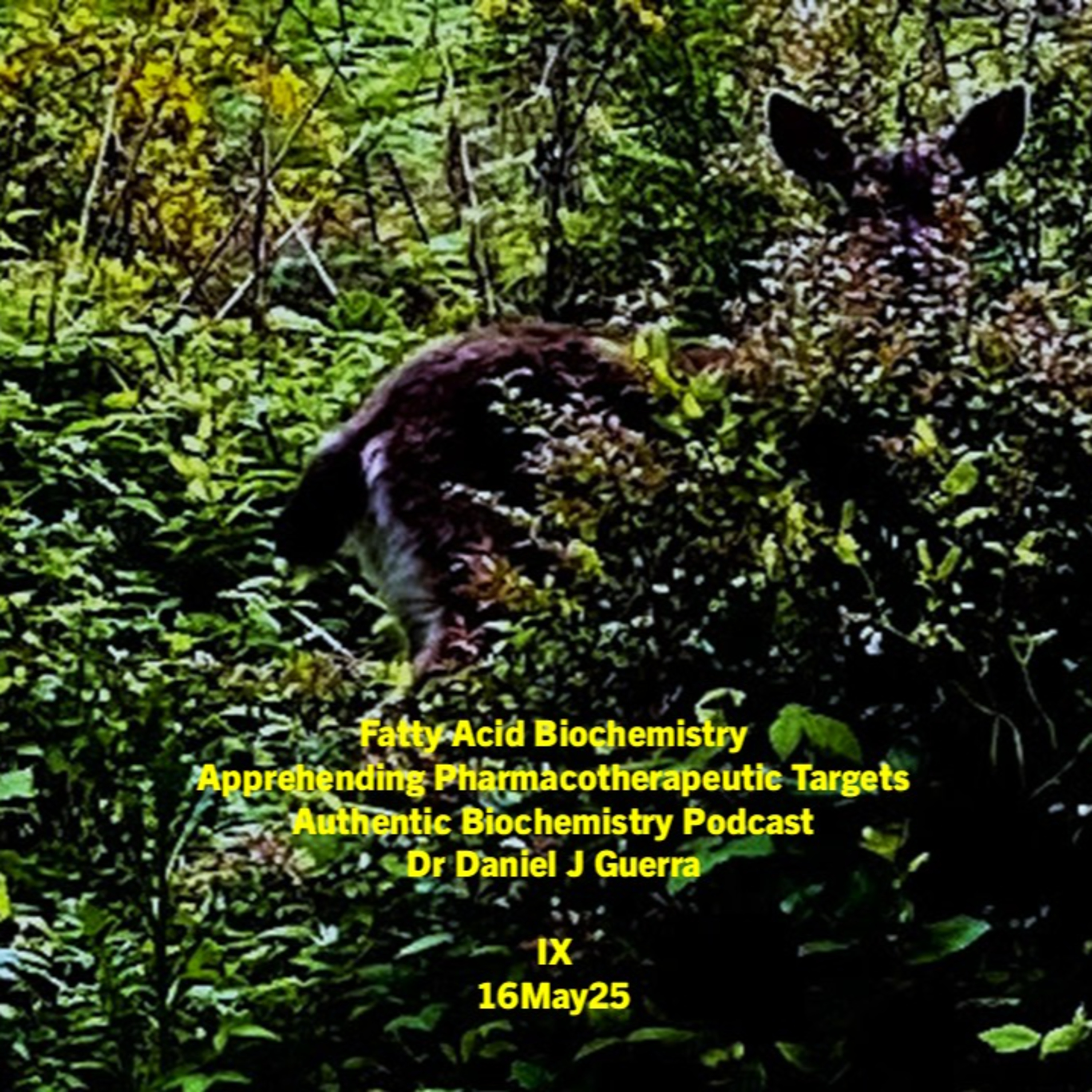 Fatty Acid Biochemistry Apprehending Pharmacotherapeutic Targets Authentic Biochemistry Podcast Dr Daniel J Guerra  IX  16May25