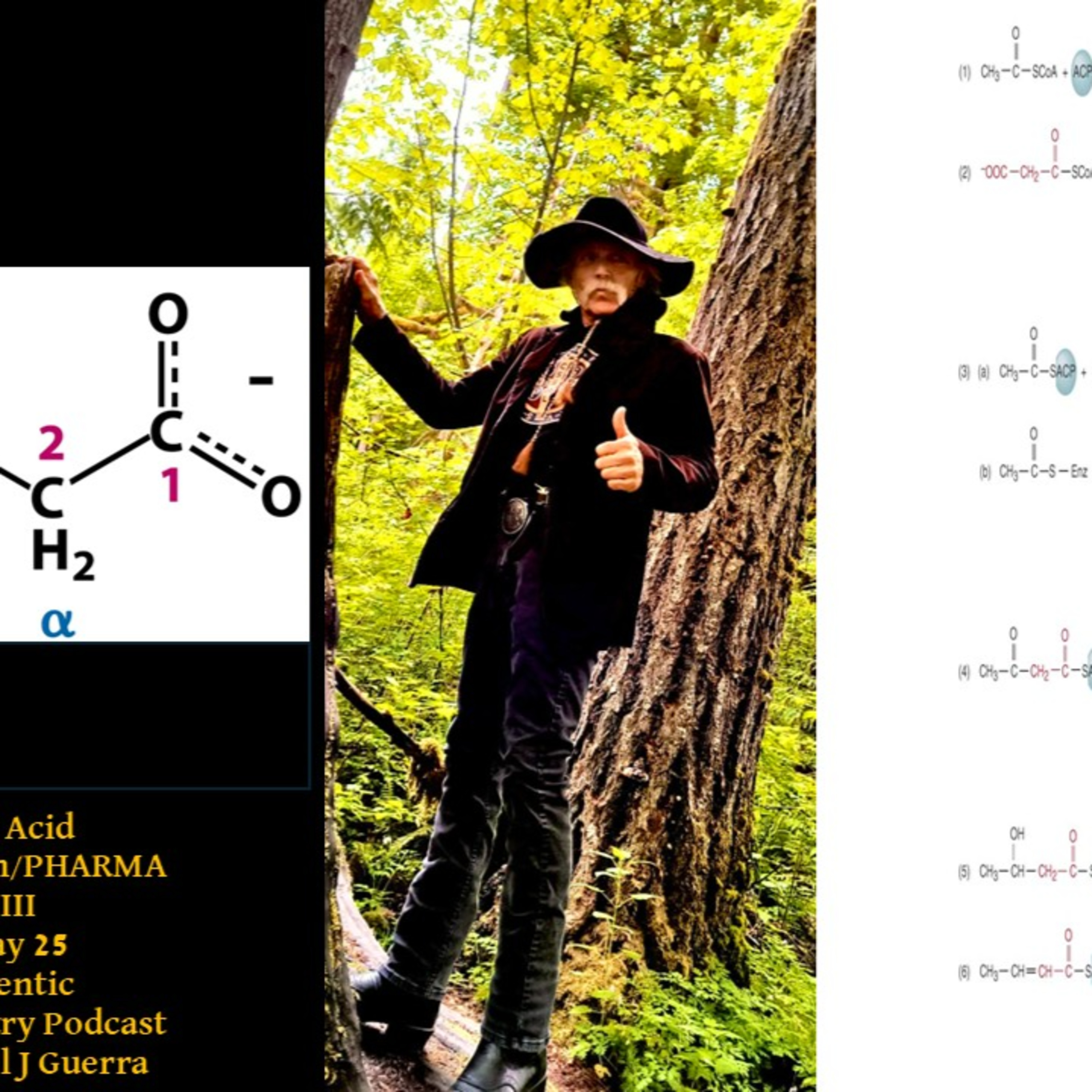 Authentic Biochemistry
