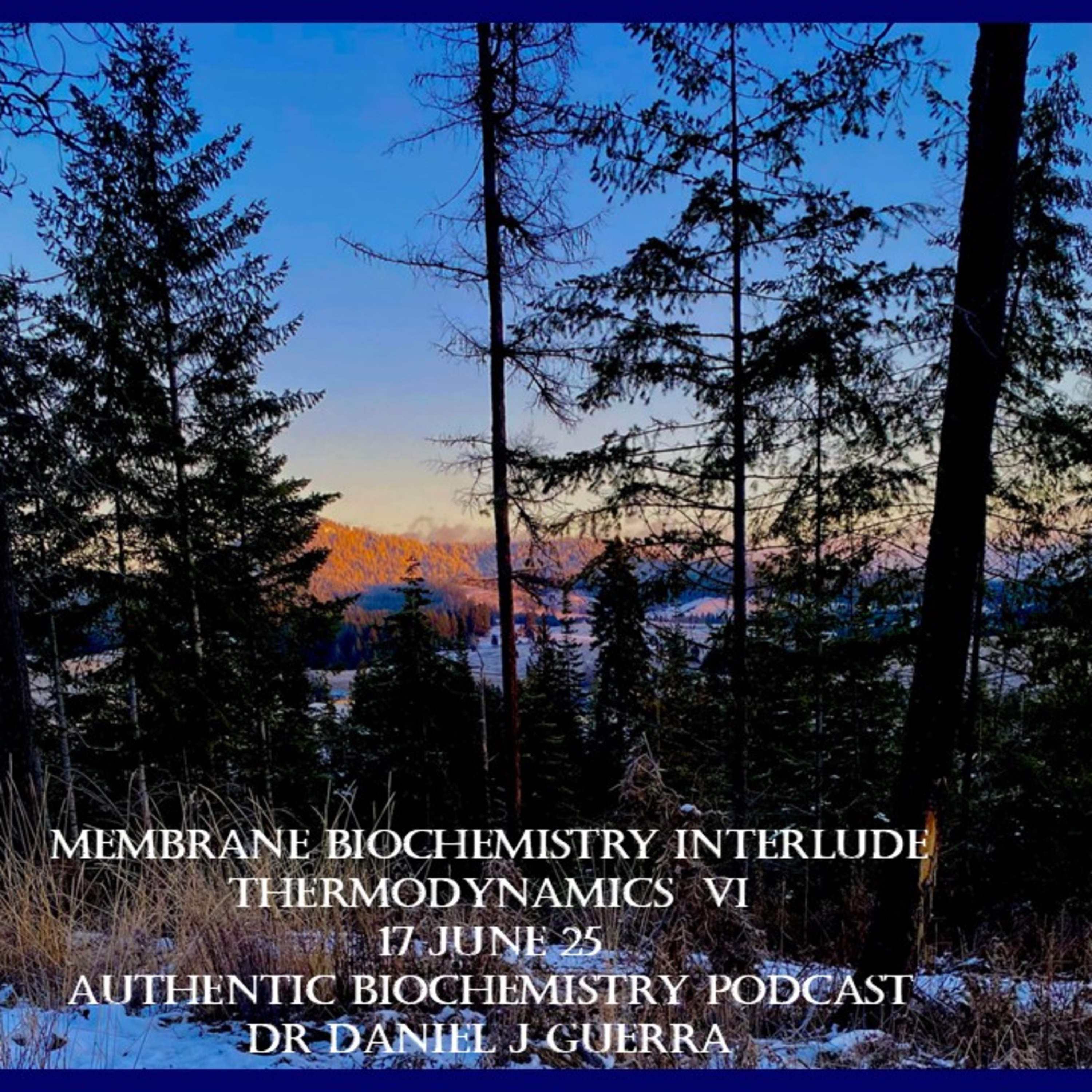 Authentic Biochemistry