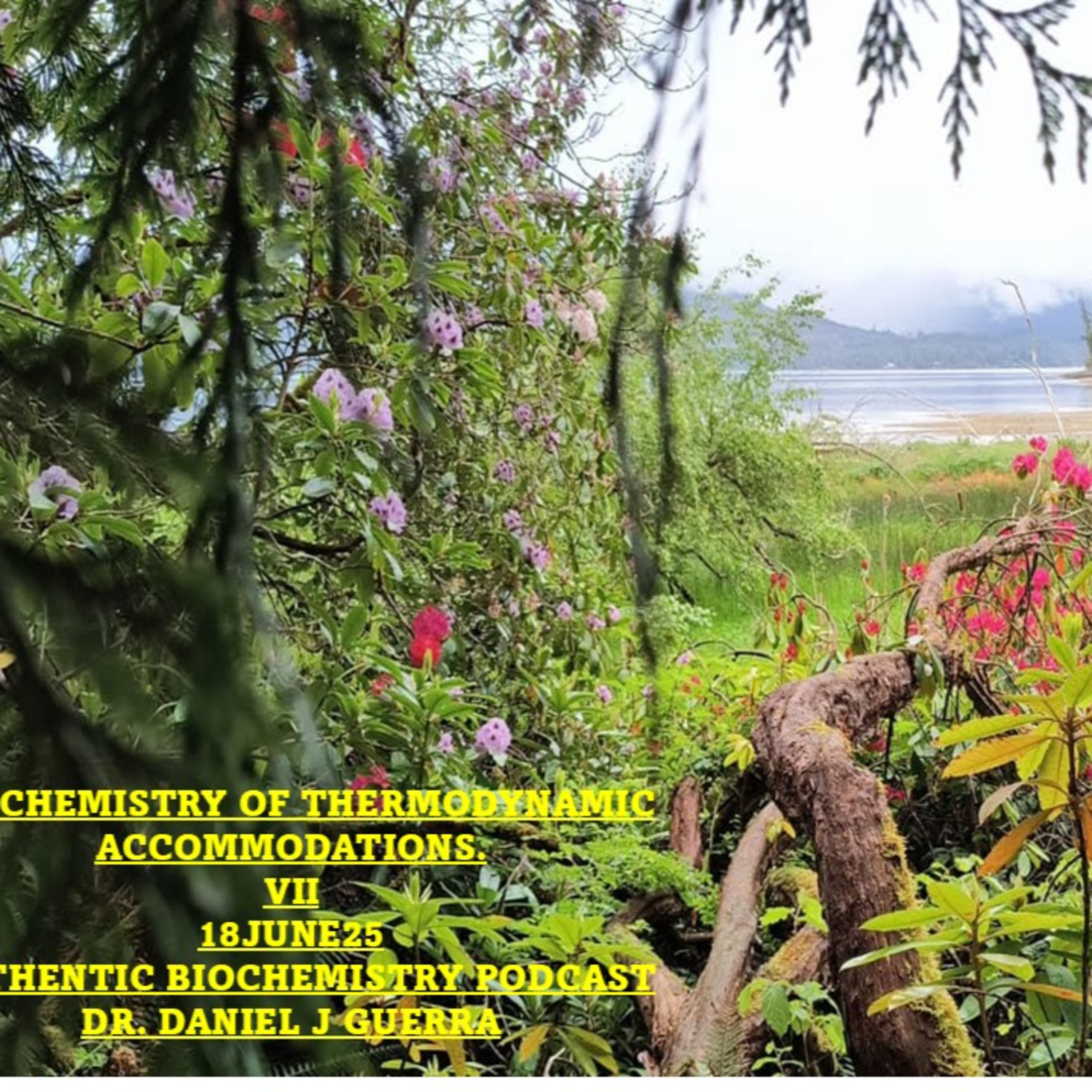 Biochemistry of Thermodynamic Accommodations. VII. 18June25 Authentic Biochemistry Podcast Dr. Daniel J Guerra