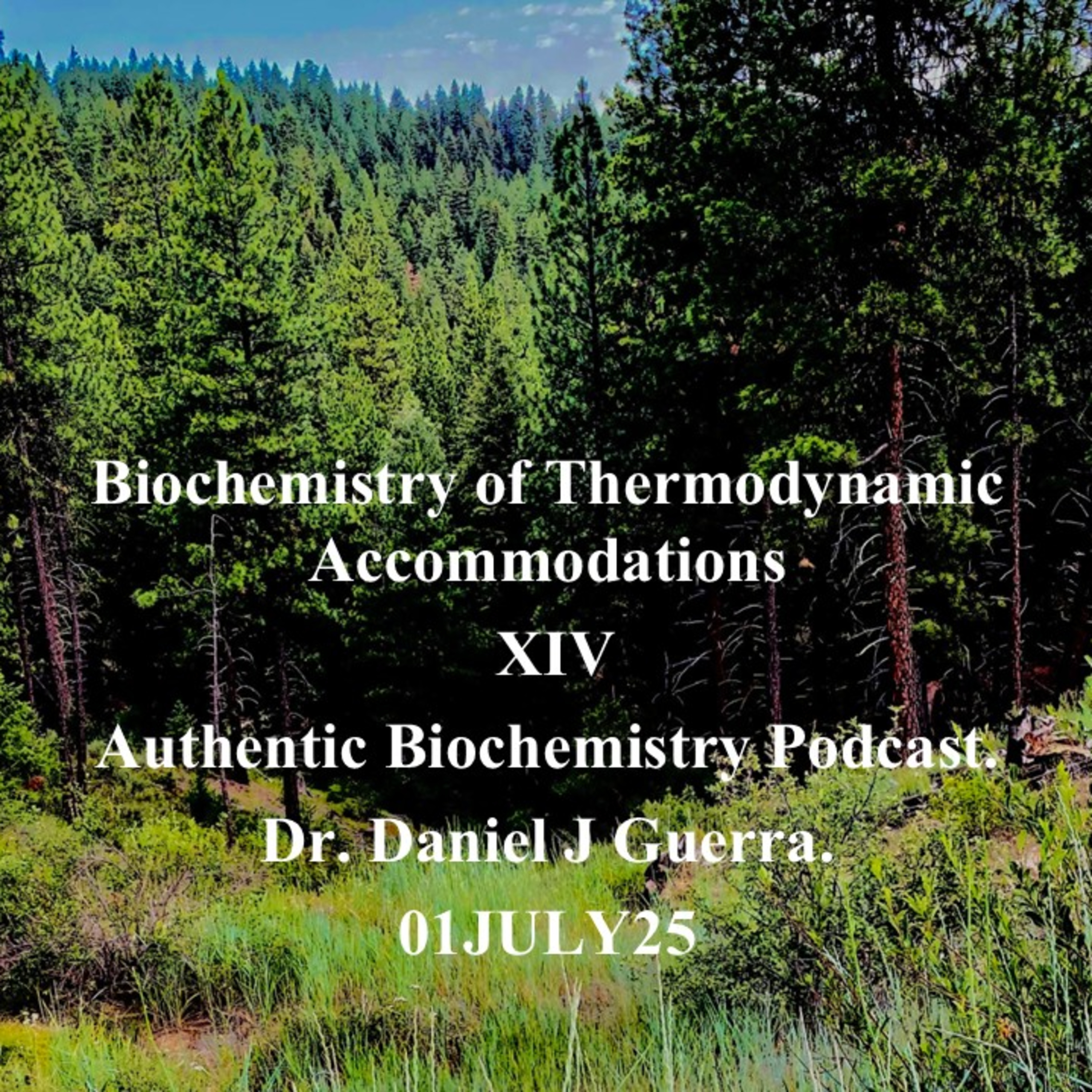 Authentic Biochemistry