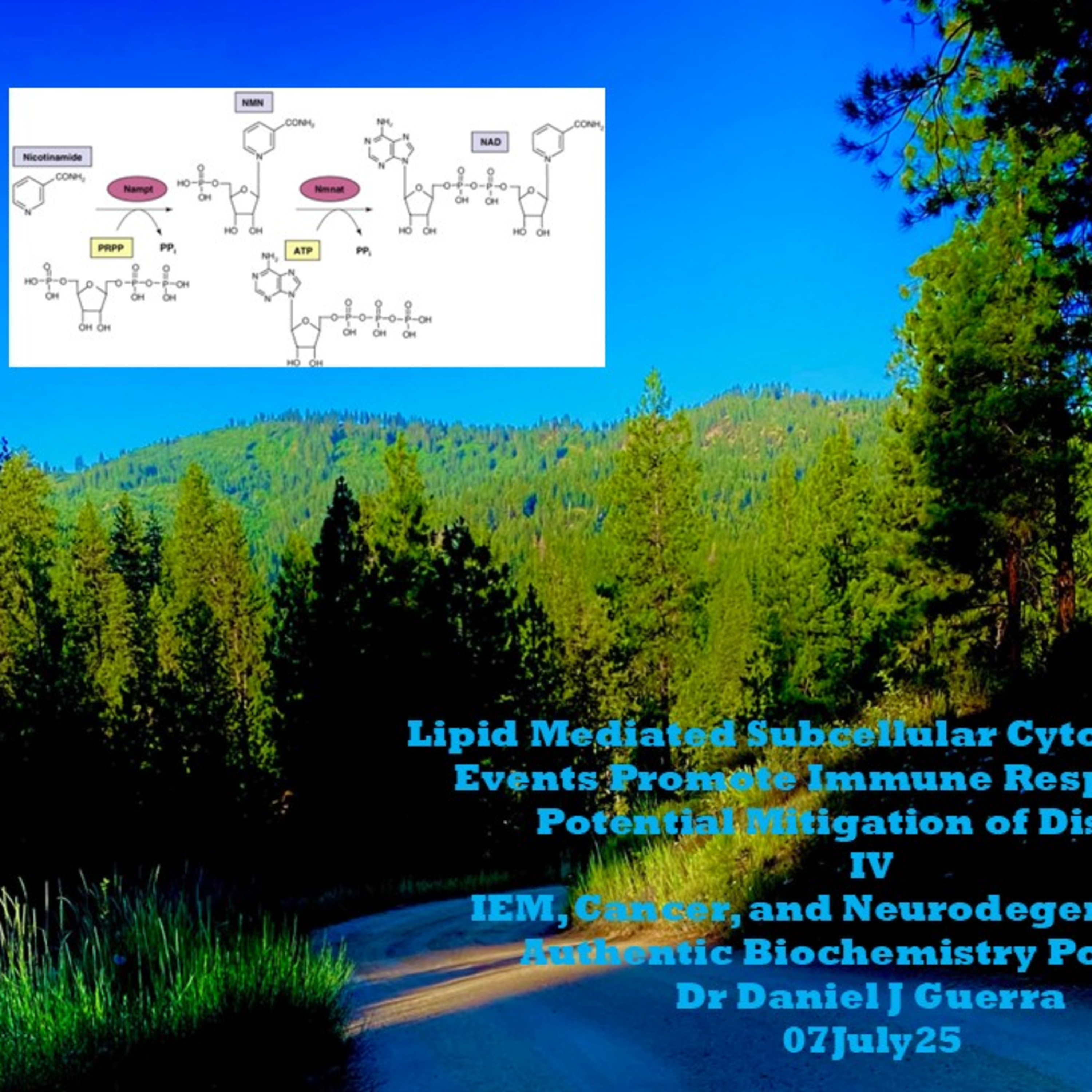 Lipid Subcellular Cytoepigenetic Events Promote Immune Responses in Potential Mitigation of Disease IV IEM, Cancer, and Neurodegeneration Authentic Biochemistry Podcast Dr Daniel J Guerra 07July25