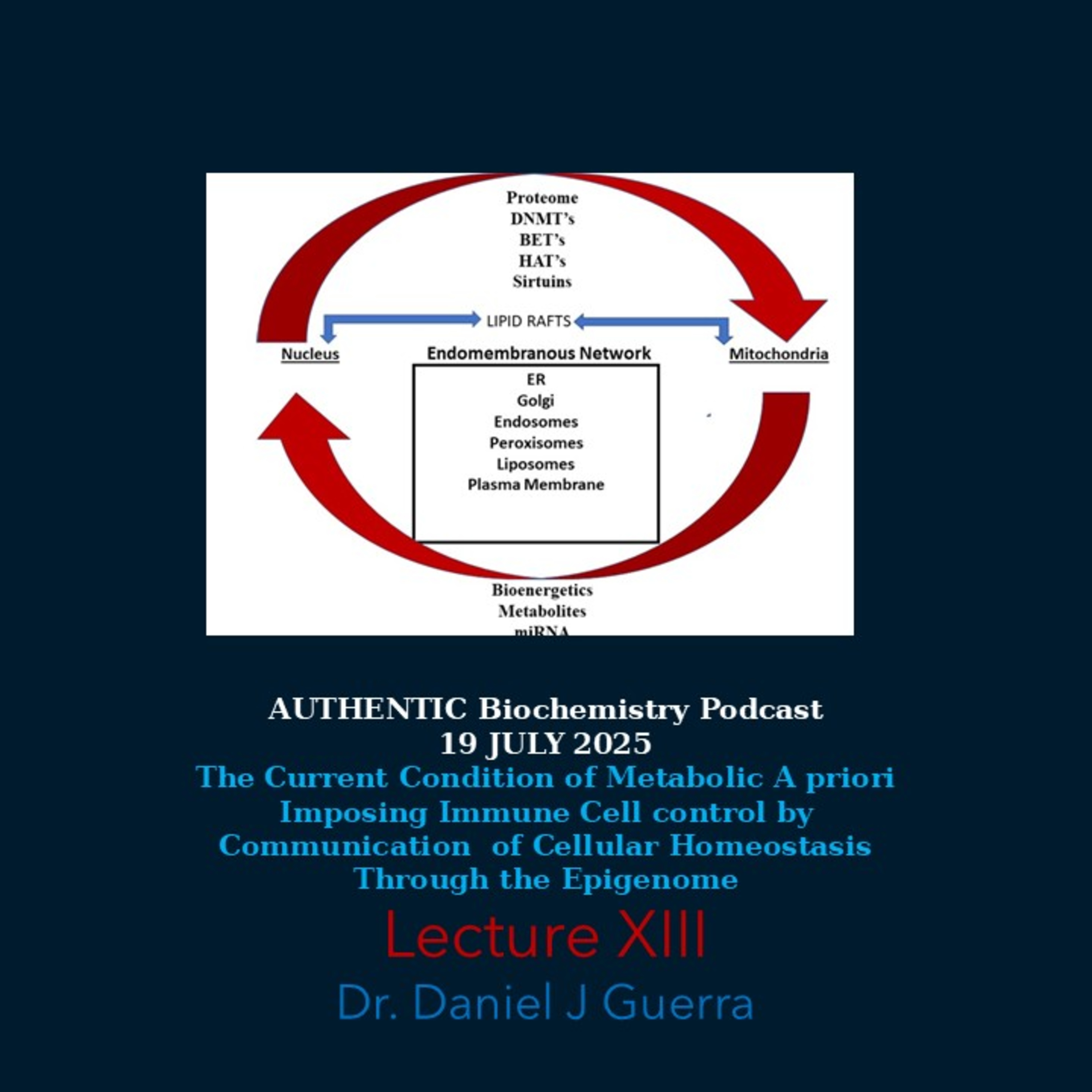 Lipid Mediated Cytoepigenetic Events Promote Immune Responses in Potential Mitigation of Disease. XIII. Authentic Biochemistry Podcast Dr Daniel J Guerra 18July25