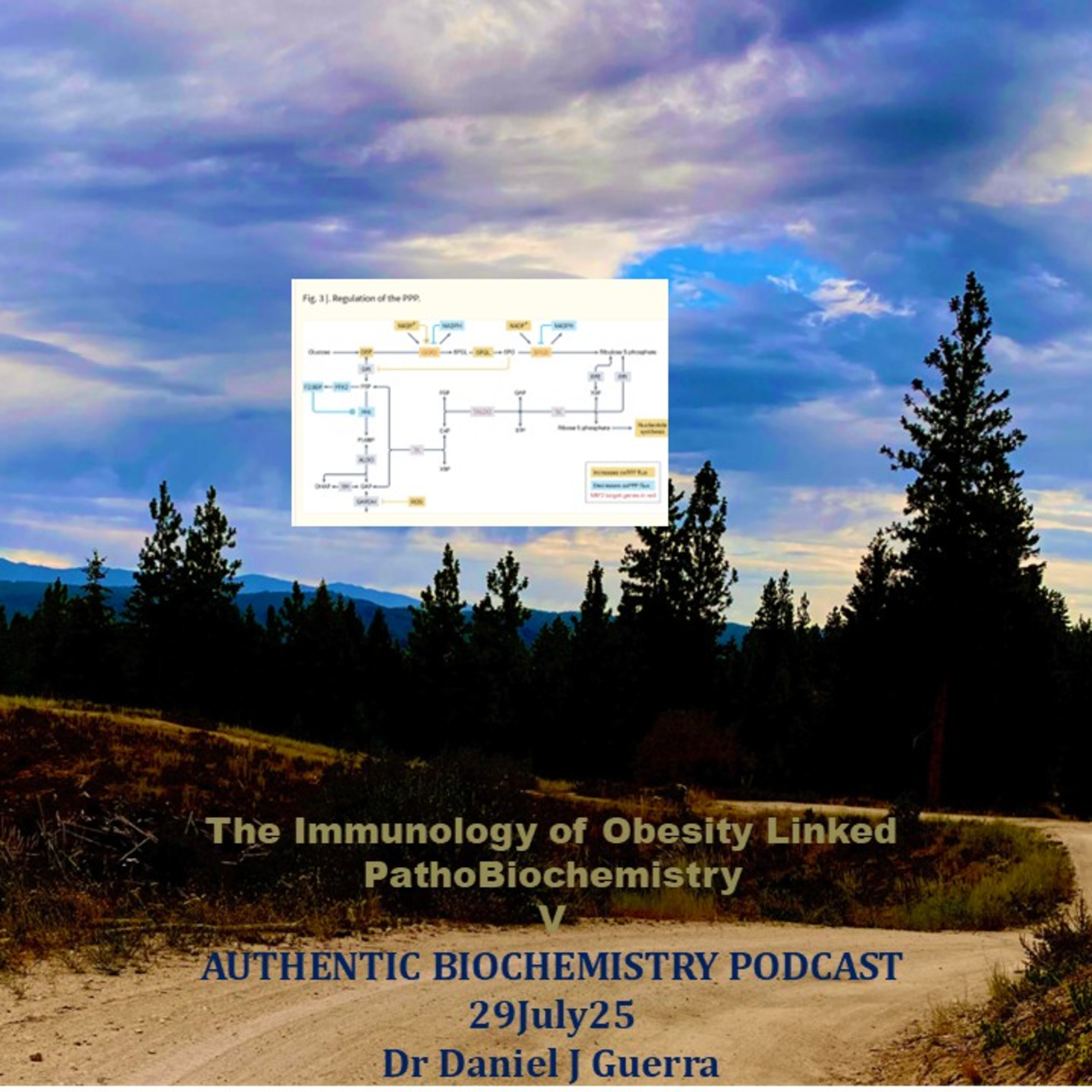 The Immunology of Obesity Linked PathoBiochemistry V AUTHENTIC BIOCHEMISTRY PODCAST 29July25 Dr Daniel J Guerra