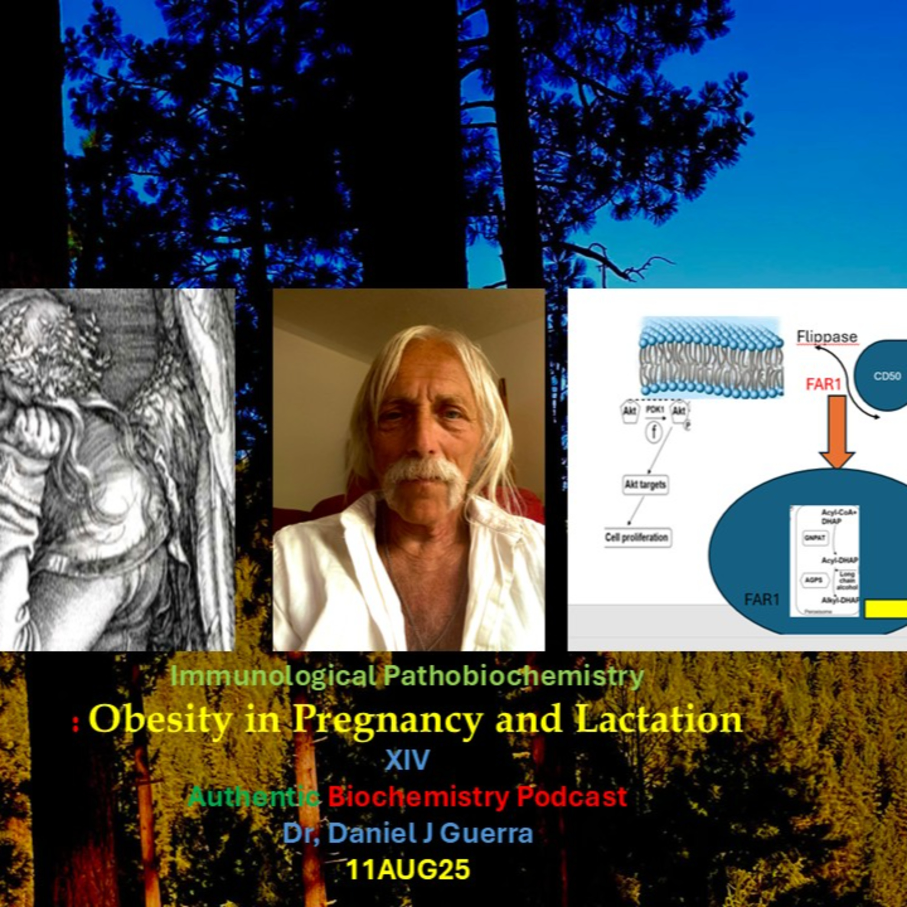 Immunological Pathobiochemistry : Obesity in Pregnancy and Lactation XIV Authentic Biochemistry Podcast Dr, Daniel J Guerra 11AUG25