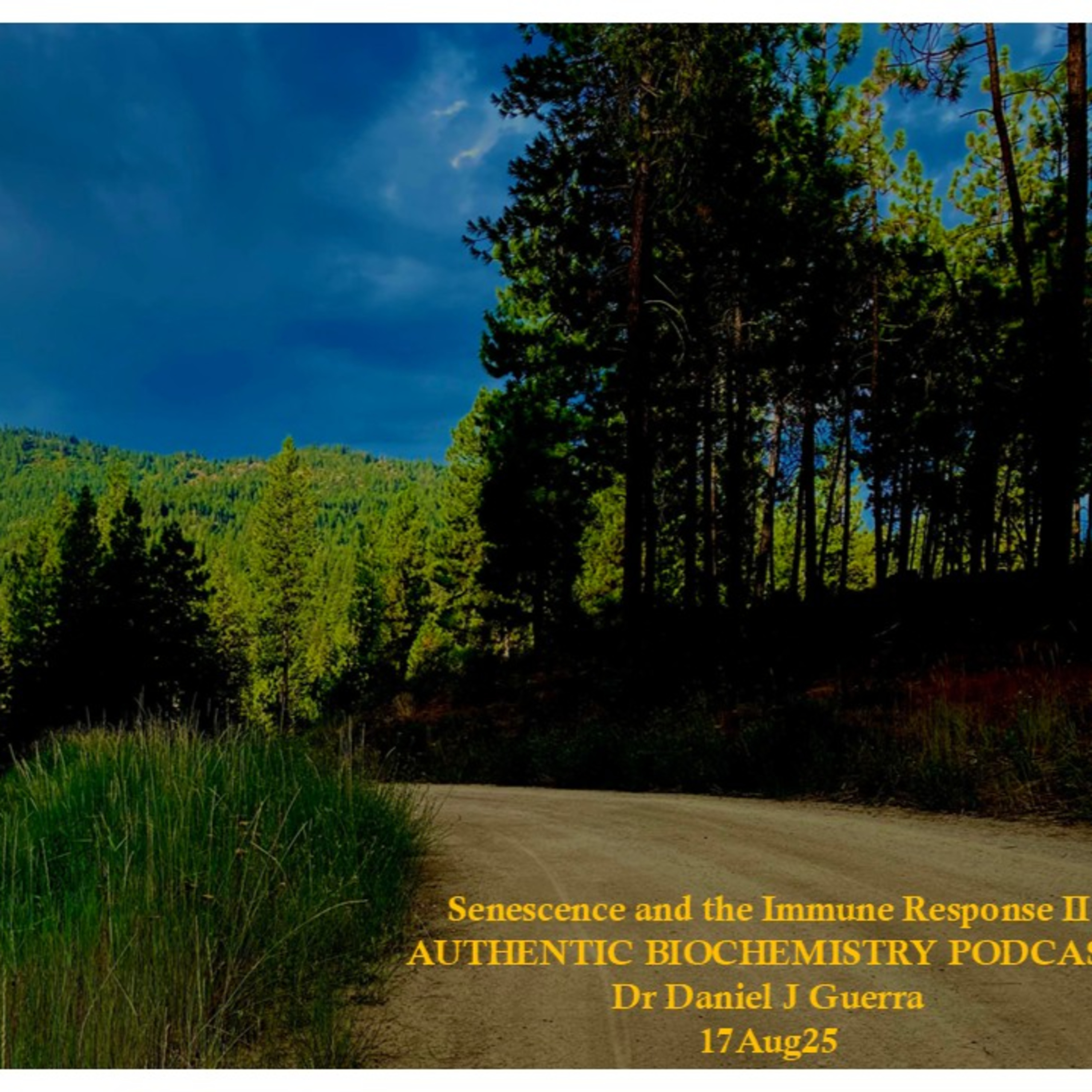 Senescence and the Immune Response II AUTHENTIC BIOCHEMISTRY PODCAST Dr Daniel J Guerra 17Aug25