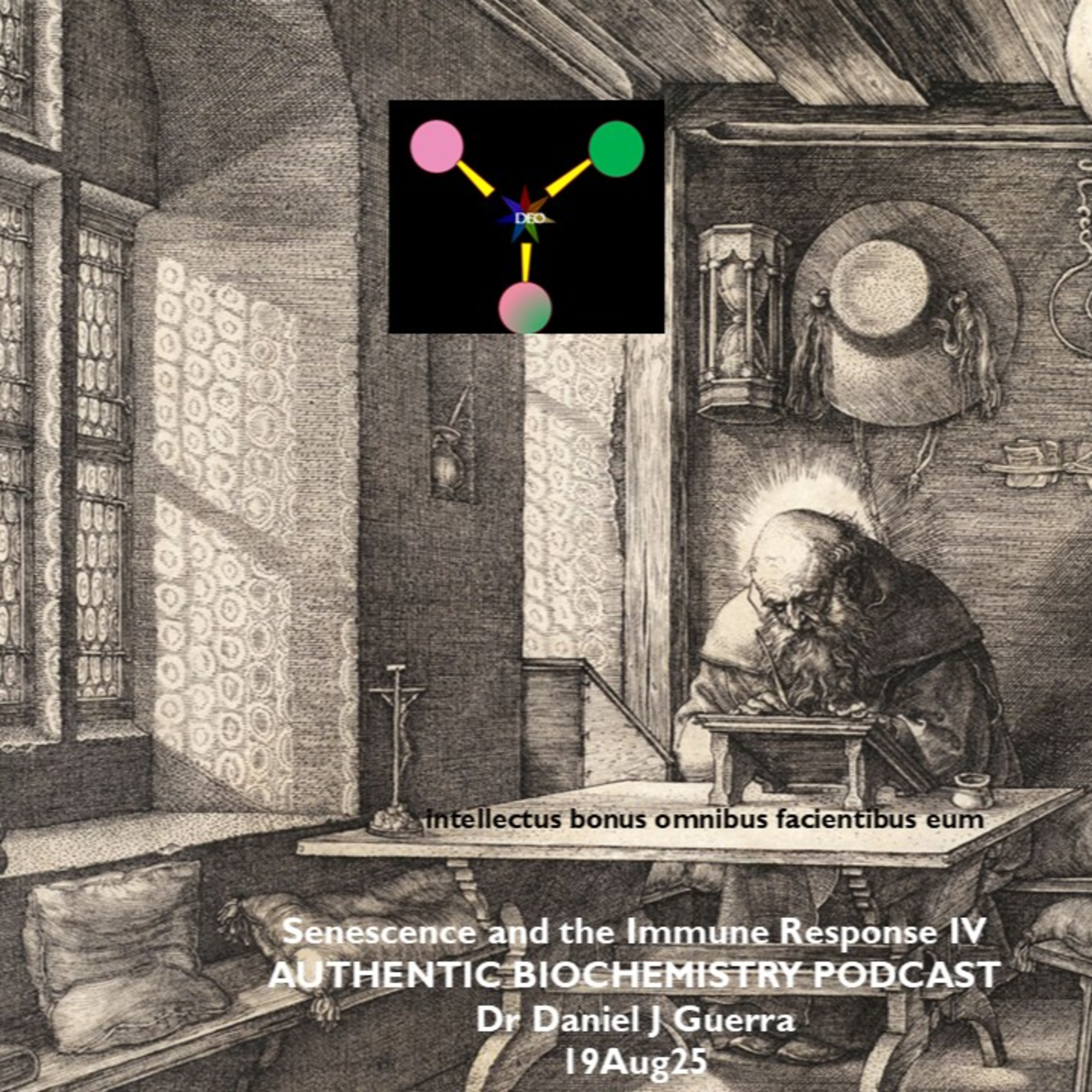 Senescence and the Immune Response IV AUTHENTIC BIOCHEMISTRY PODCAST Dr Daniel J Guerra 19Aug25